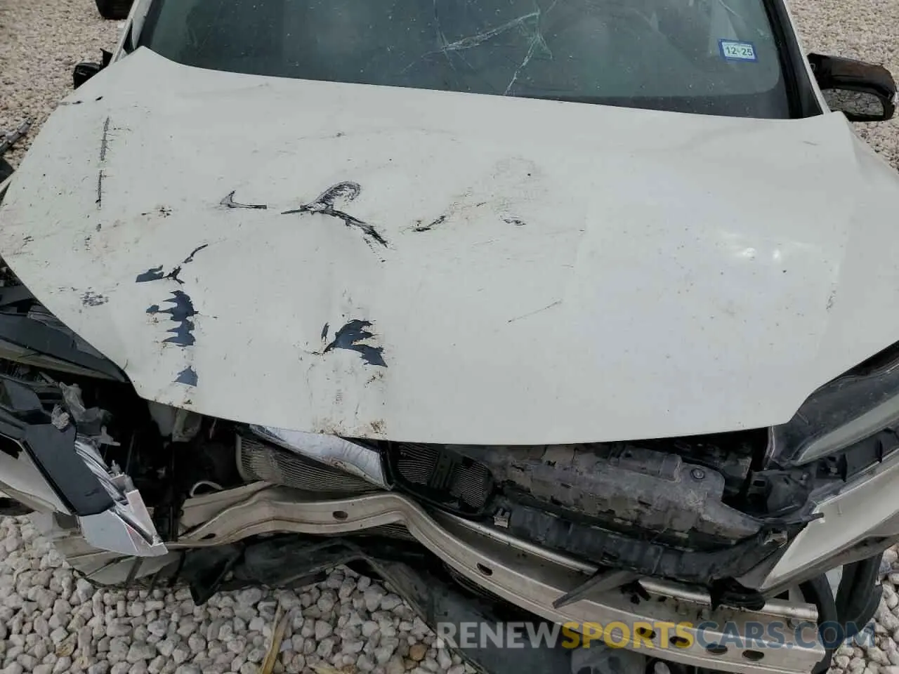 13 Photograph of a damaged car 5FNYF5H66KB017431 HONDA PILOT 2019