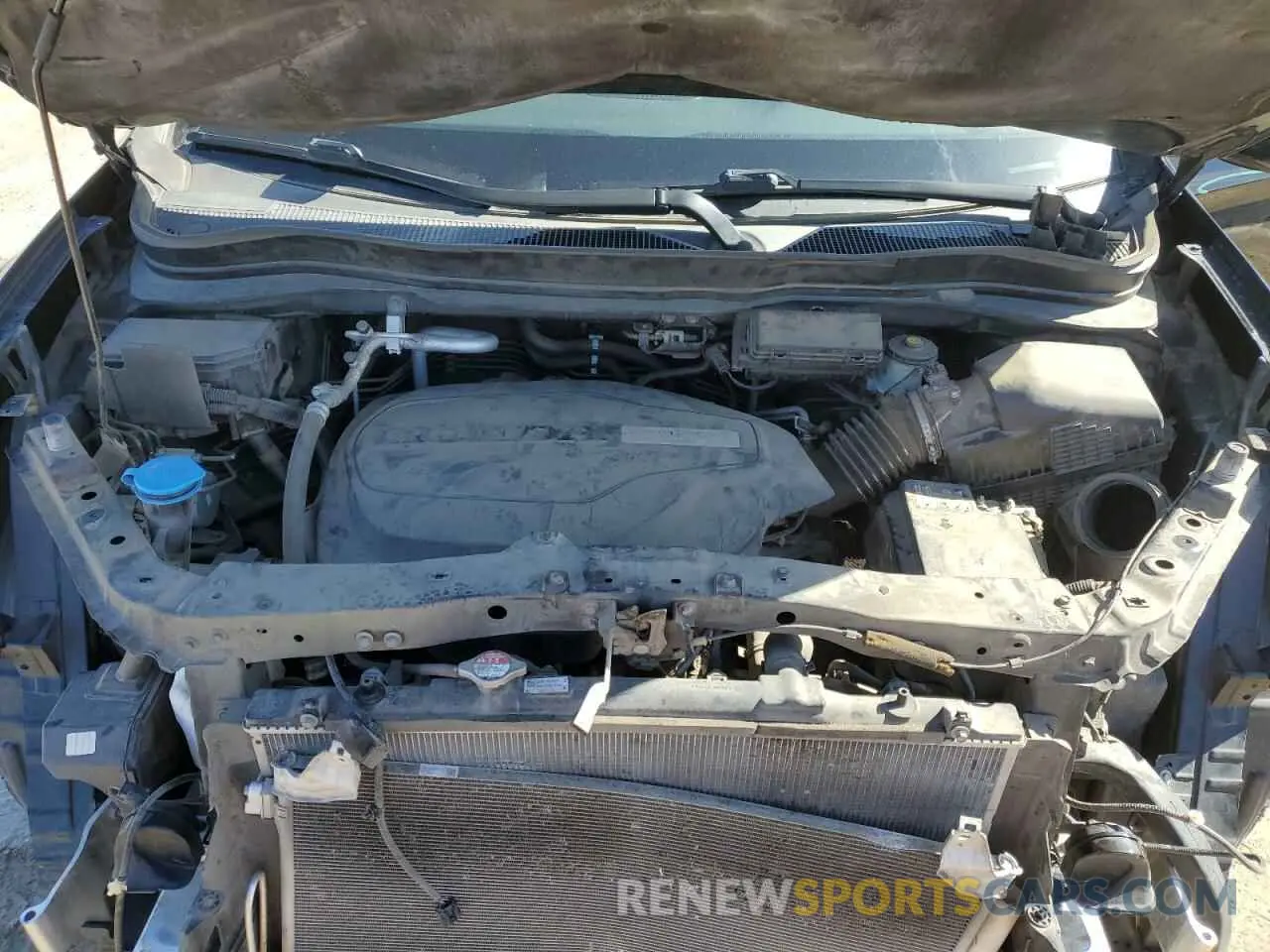 12 Photograph of a damaged car 5FNYF5H69KB019903 HONDA PILOT 2019