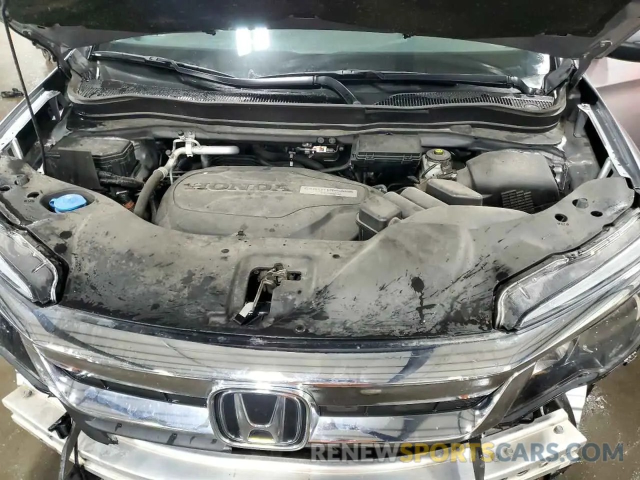 12 Photograph of a damaged car 5FNYF6H55KB068996 HONDA PILOT 2019
