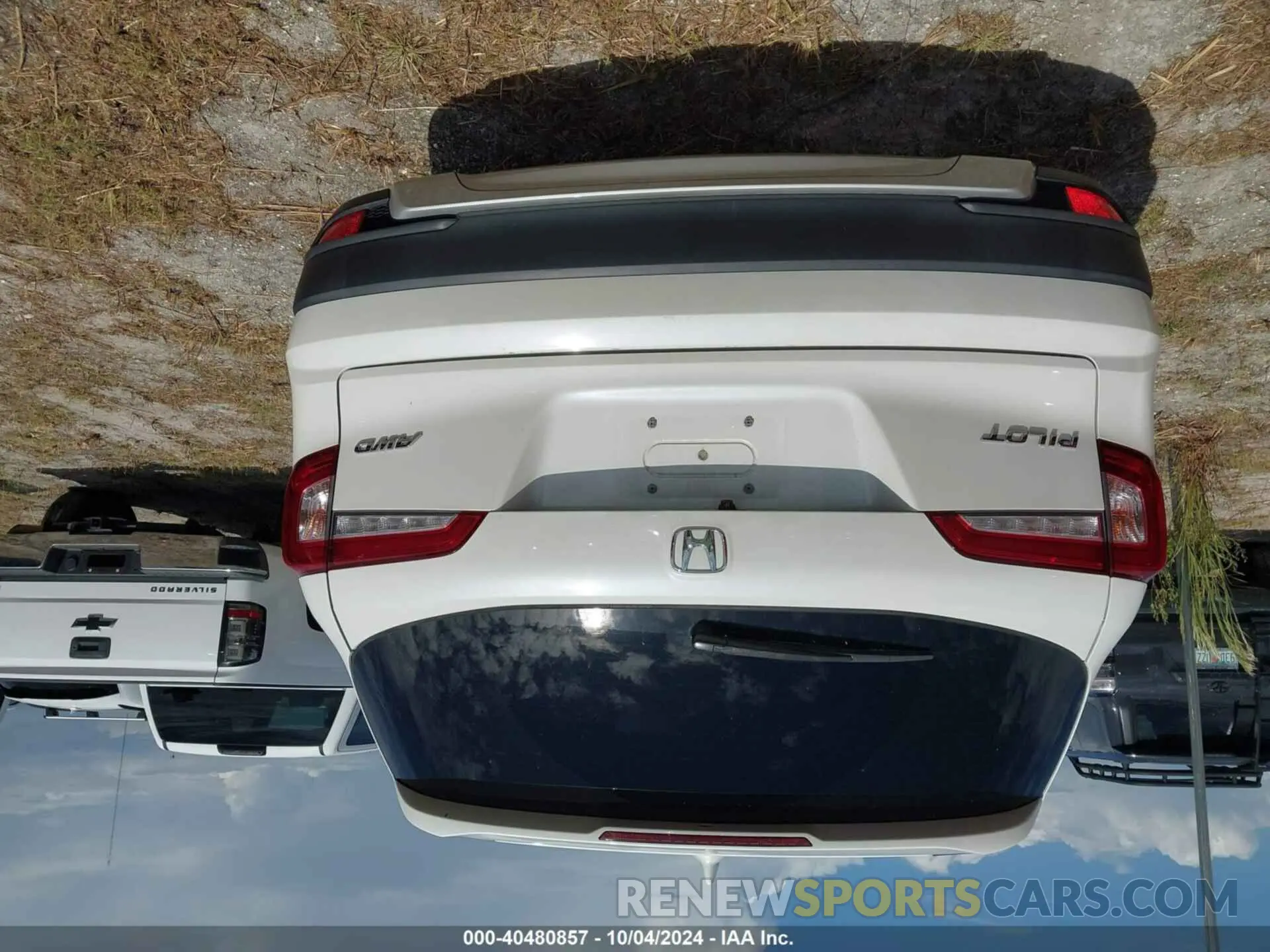 16 Photograph of a damaged car 5FNYF6H5XKB064328 HONDA PILOT 2019