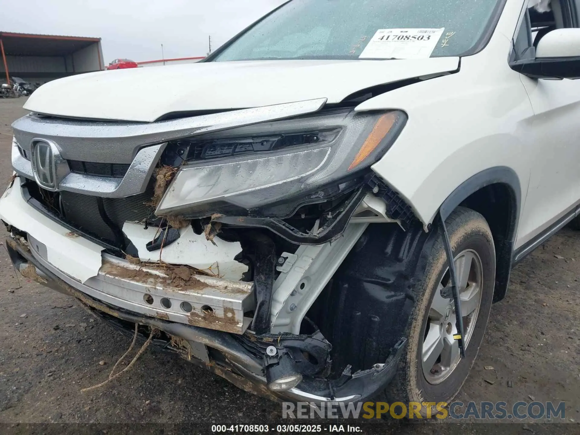 6 Фотография поврежденного автомобиля 5FNYF6H65KB035053 HONDA PILOT 2019