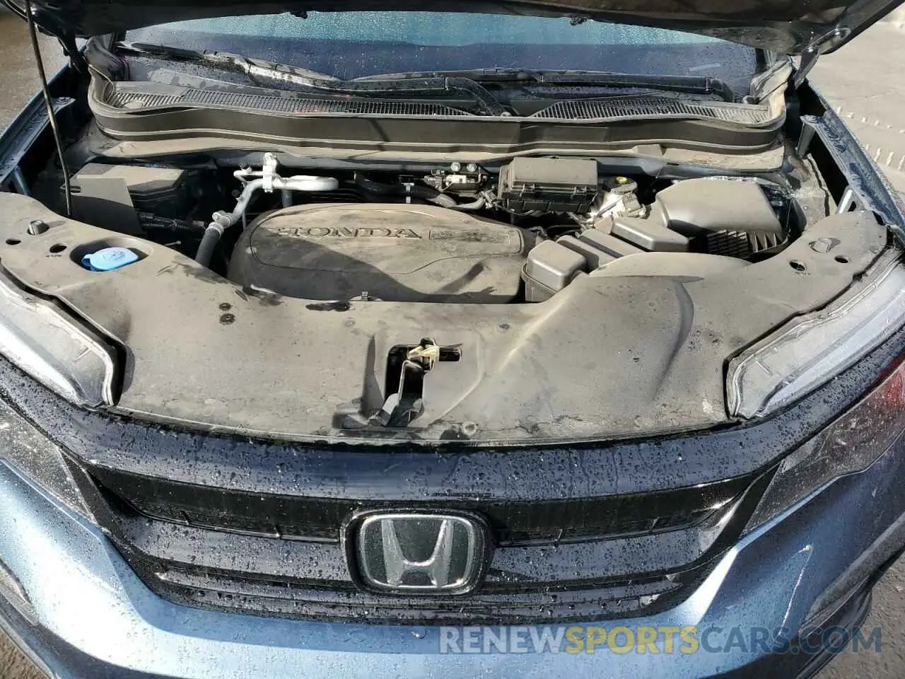 12 Фотография поврежденного автомобиля 5FNYF5H22MB012811 HONDA PILOT 2021
