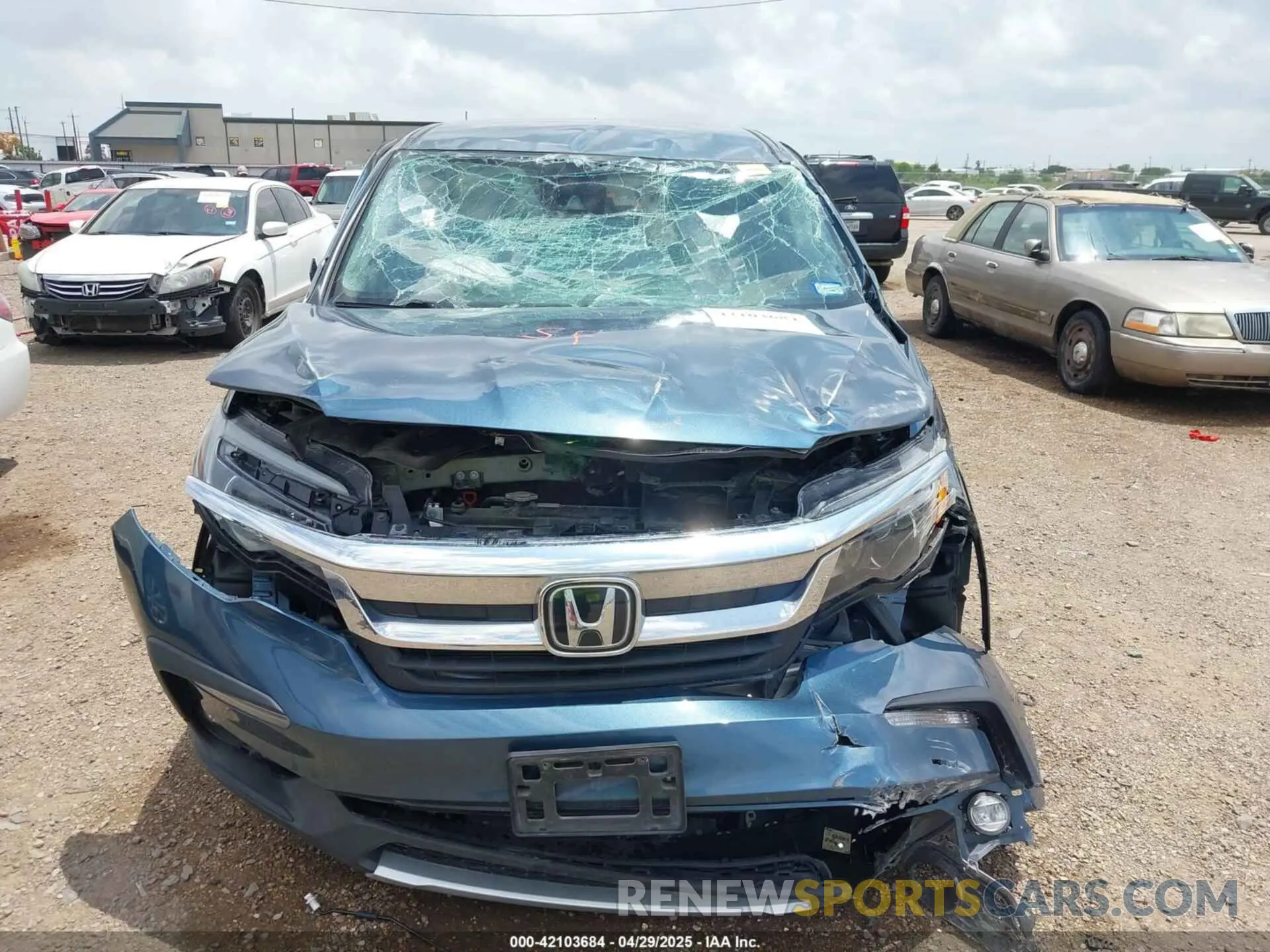 13 Photograph of a damaged car 5FNYF5H30MB040969 HONDA PILOT 2021
