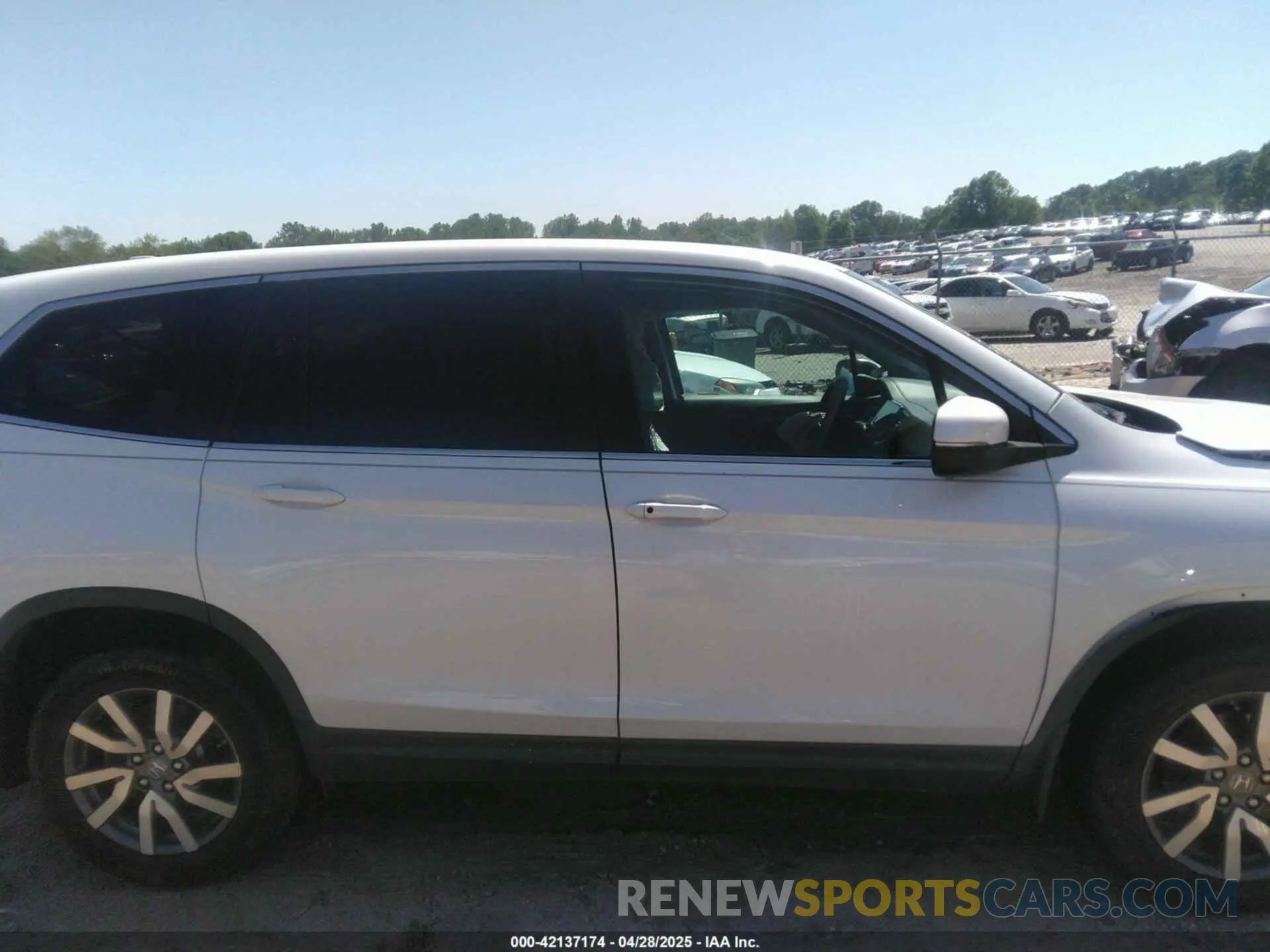 13 Фотография поврежденного автомобиля 5FNYF5H54MB031807 HONDA PILOT 2021