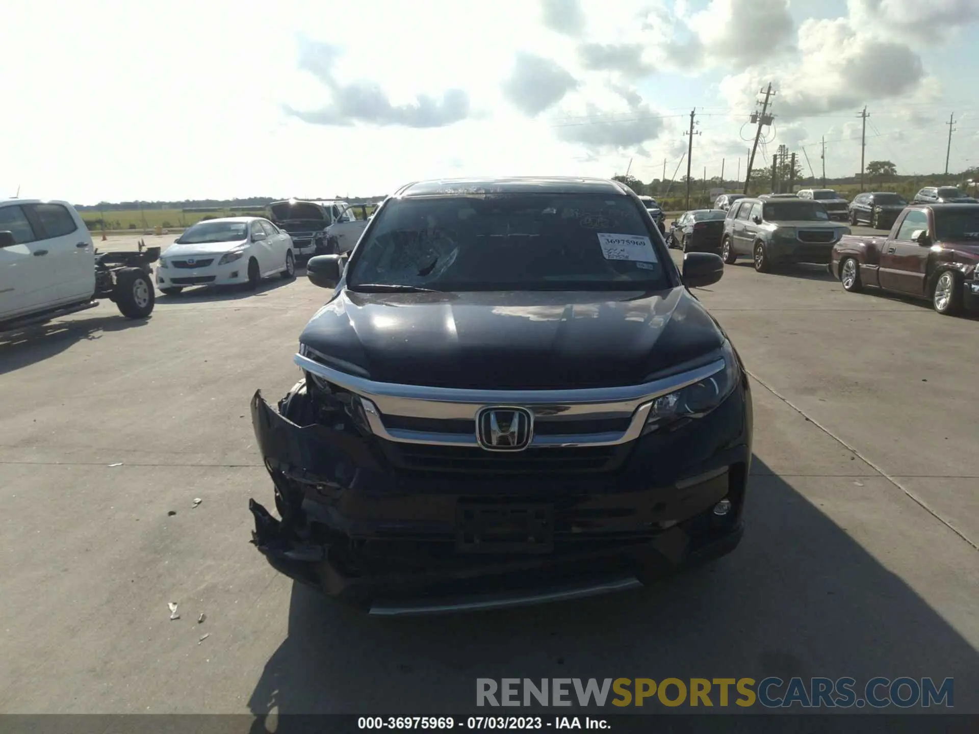 12 Фотография поврежденного автомобиля 5FNYF5H55NB003547 HONDA PILOT 2022