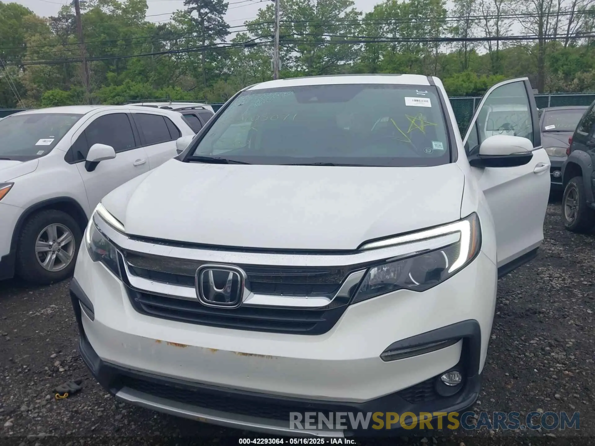 6 Photograph of a damaged car 5FNYF5H5XNB016293 HONDA PILOT 2022