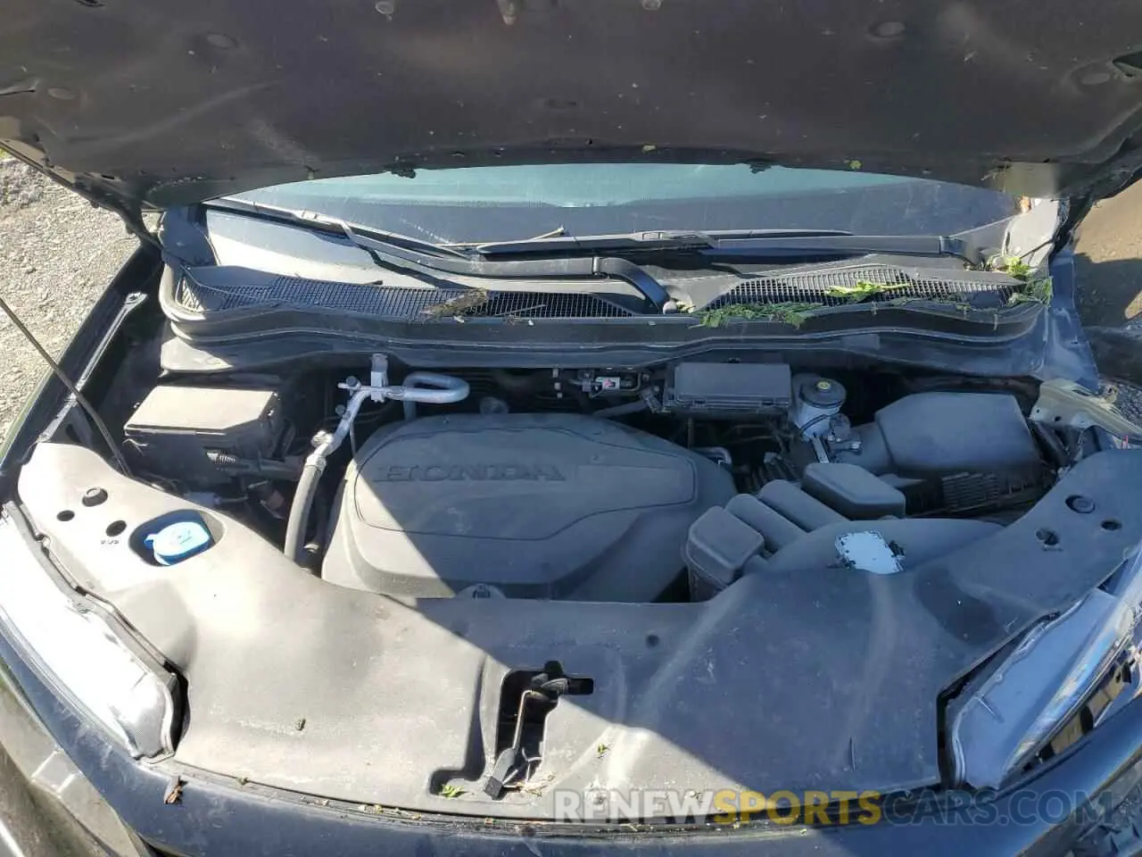 12 Фотография поврежденного автомобиля 5FNYF6H39NB074609 HONDA PILOT 2022