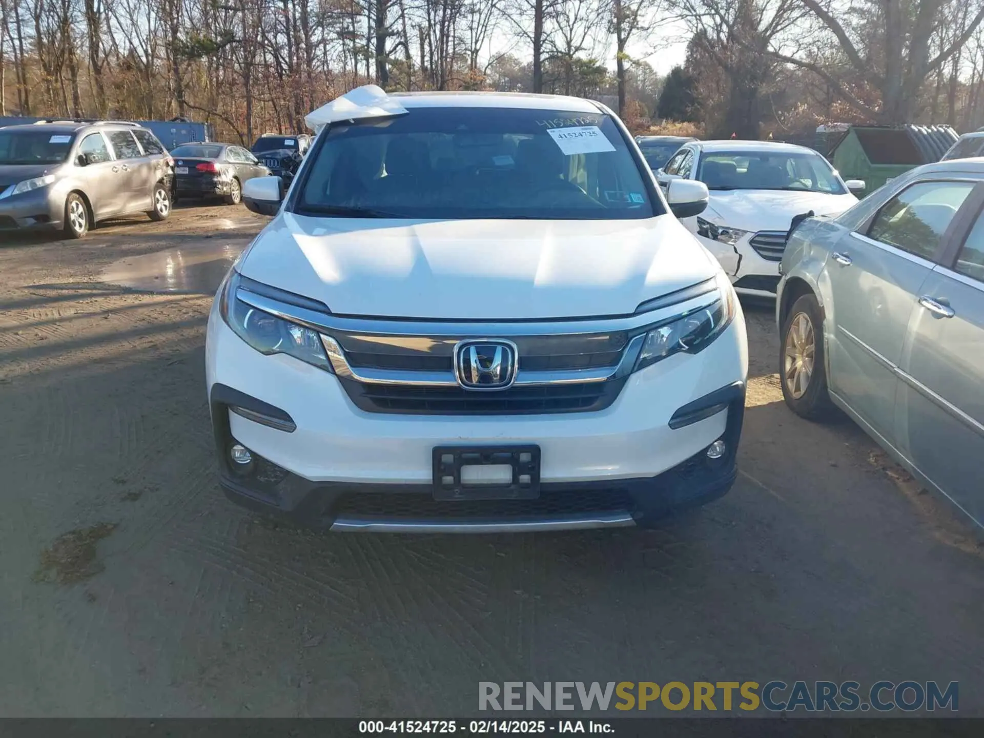 12 Фотография поврежденного автомобиля 5FNYF6H54NB084899 HONDA PILOT 2022
