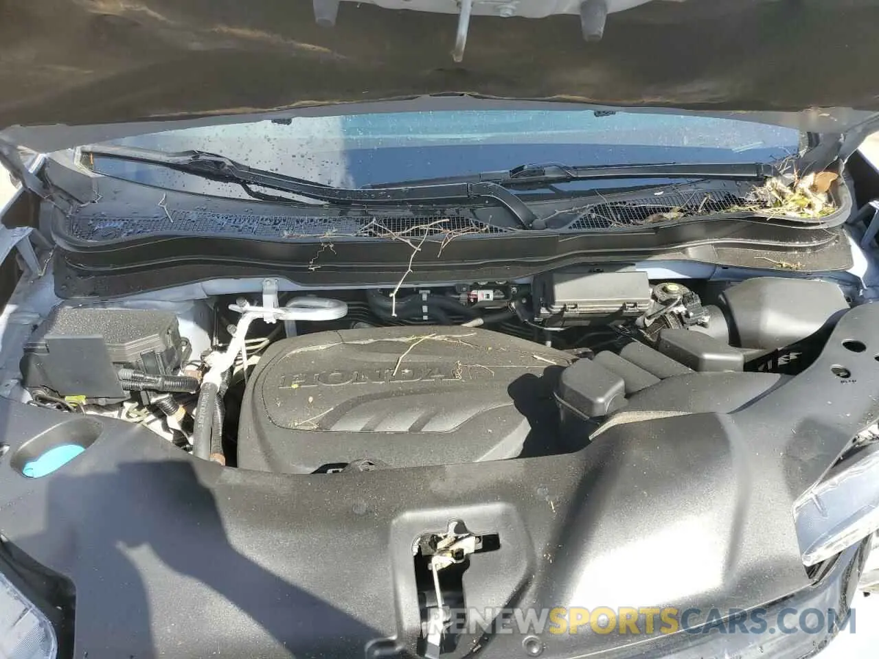 12 Фотография поврежденного автомобиля 5FNYF6H79NB029432 HONDA PILOT 2022