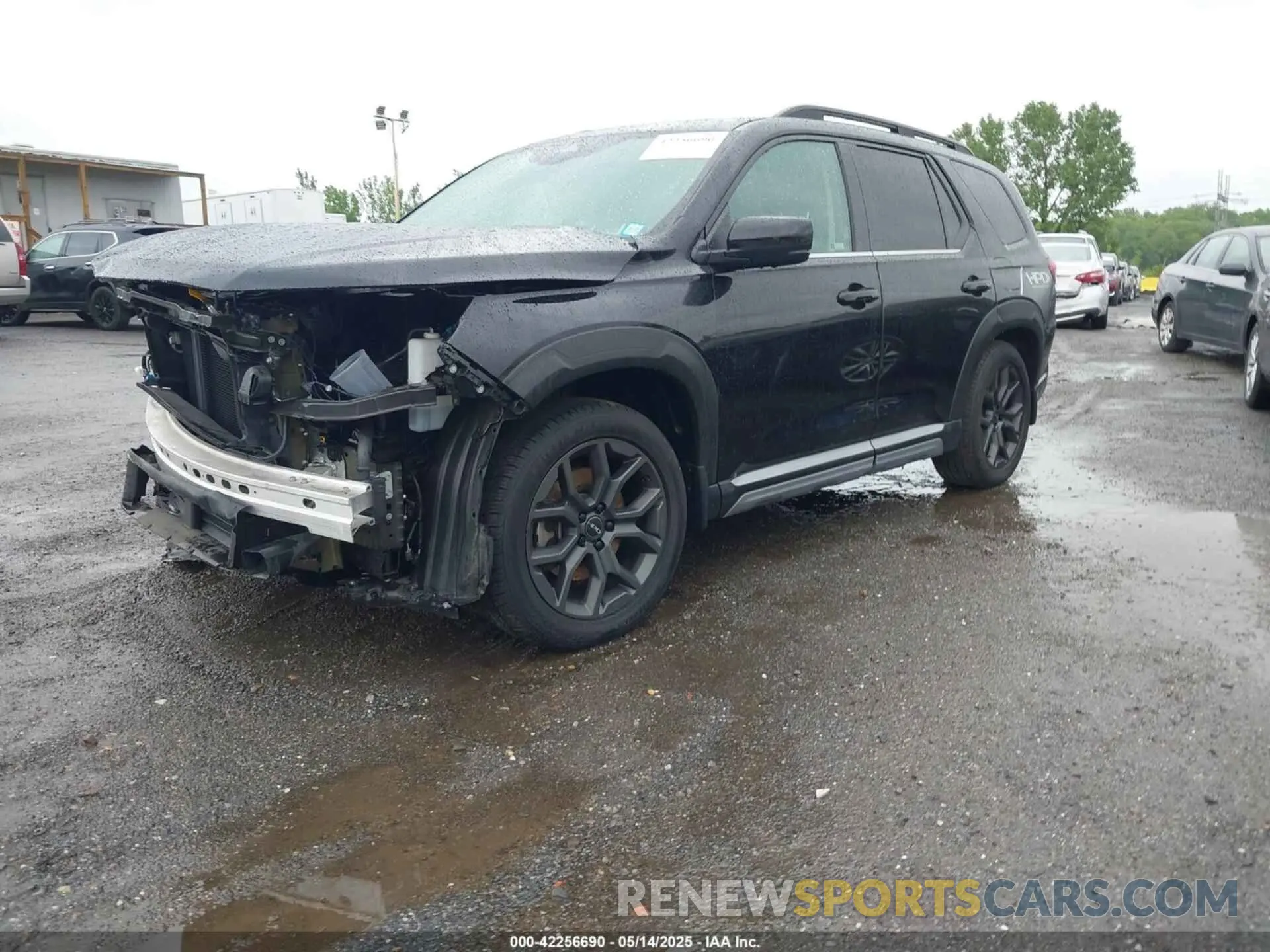 2 Фотография поврежденного автомобиля 5FNYG1H89PB030270 HONDA PILOT 2023