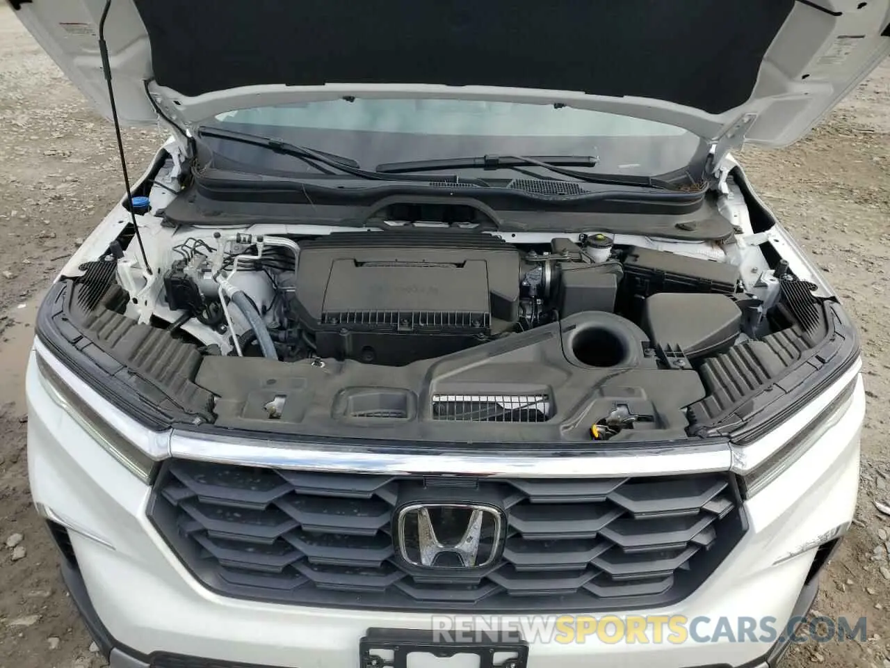 12 Фотография поврежденного автомобиля 5FNYG1H49RB032097 HONDA PILOT 2024