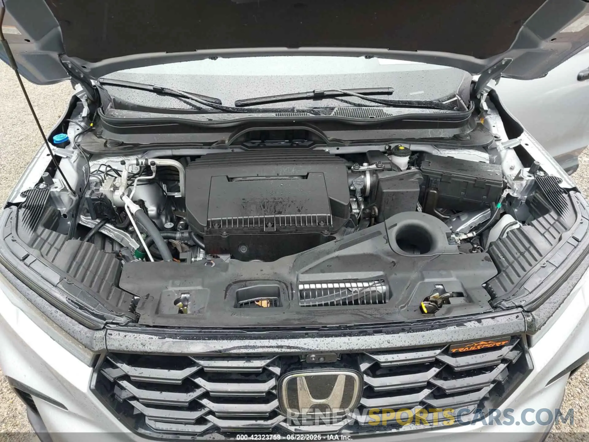 10 Фотография поврежденного автомобиля 5FNYG1H63RB039600 HONDA PILOT 2024