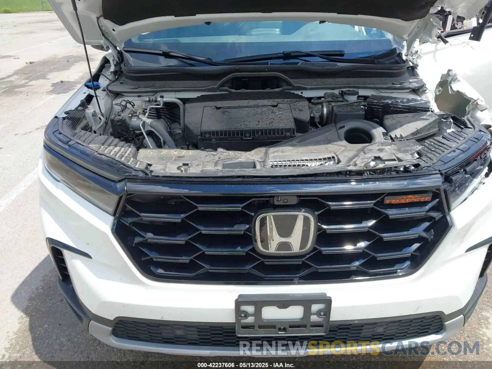 10 Фотография поврежденного автомобиля 5FNYG1H6XRB004763 HONDA PILOT 2024