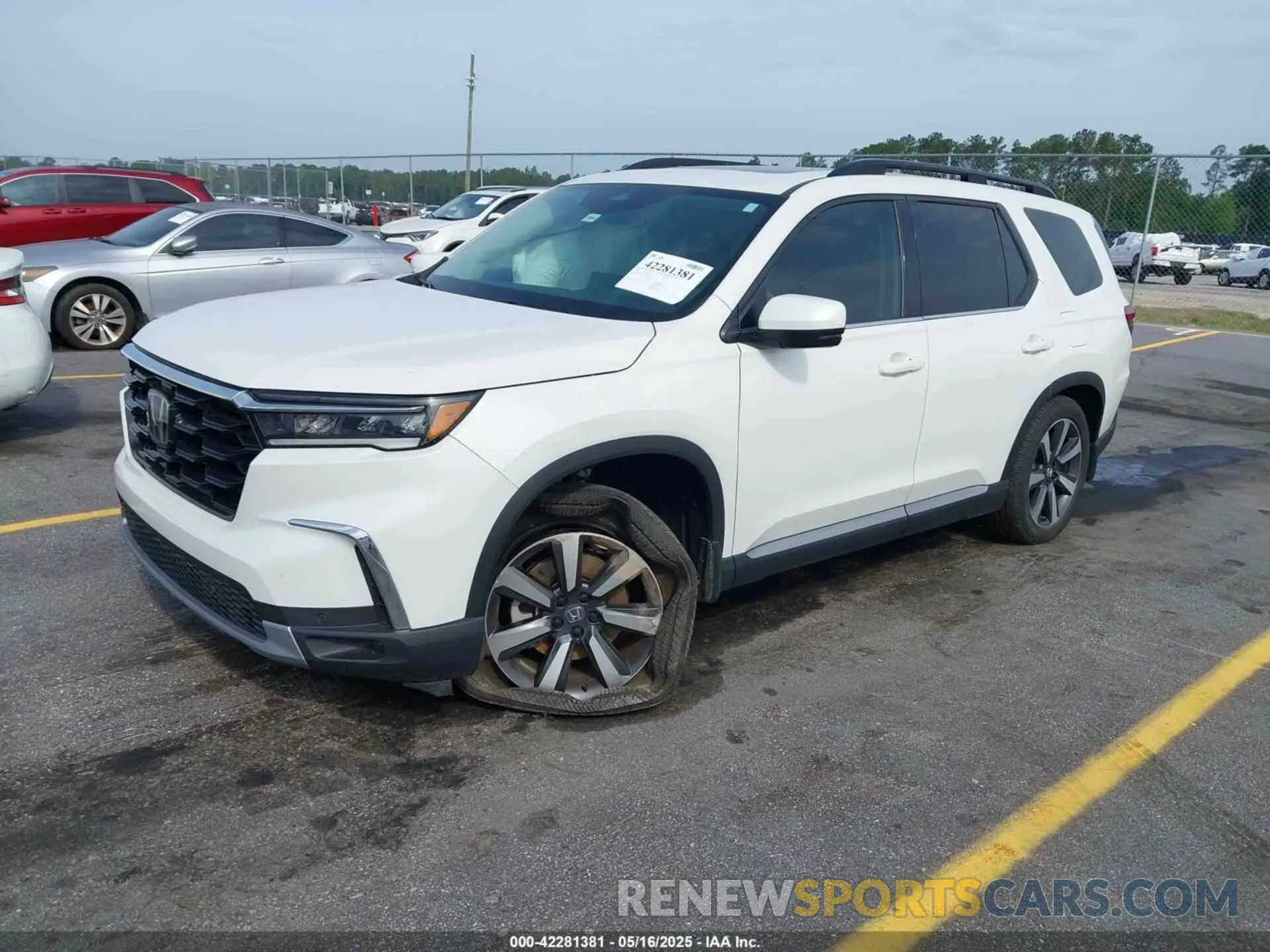 2 Фотография поврежденного автомобиля 5FNYG1H70RB048165 HONDA PILOT 2024