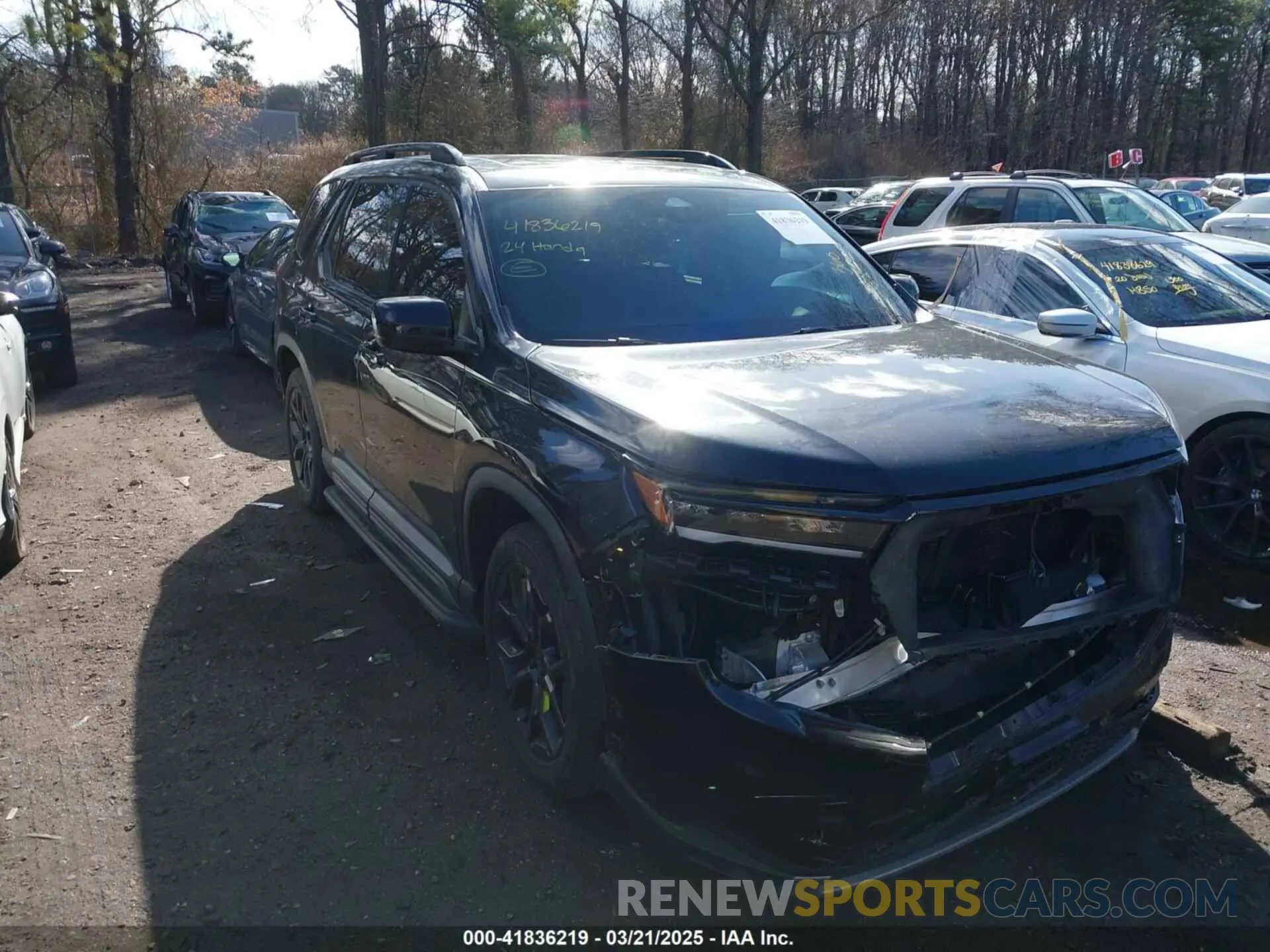 1 Фотография поврежденного автомобиля 5FNYG1H84RB033550 HONDA PILOT 2024