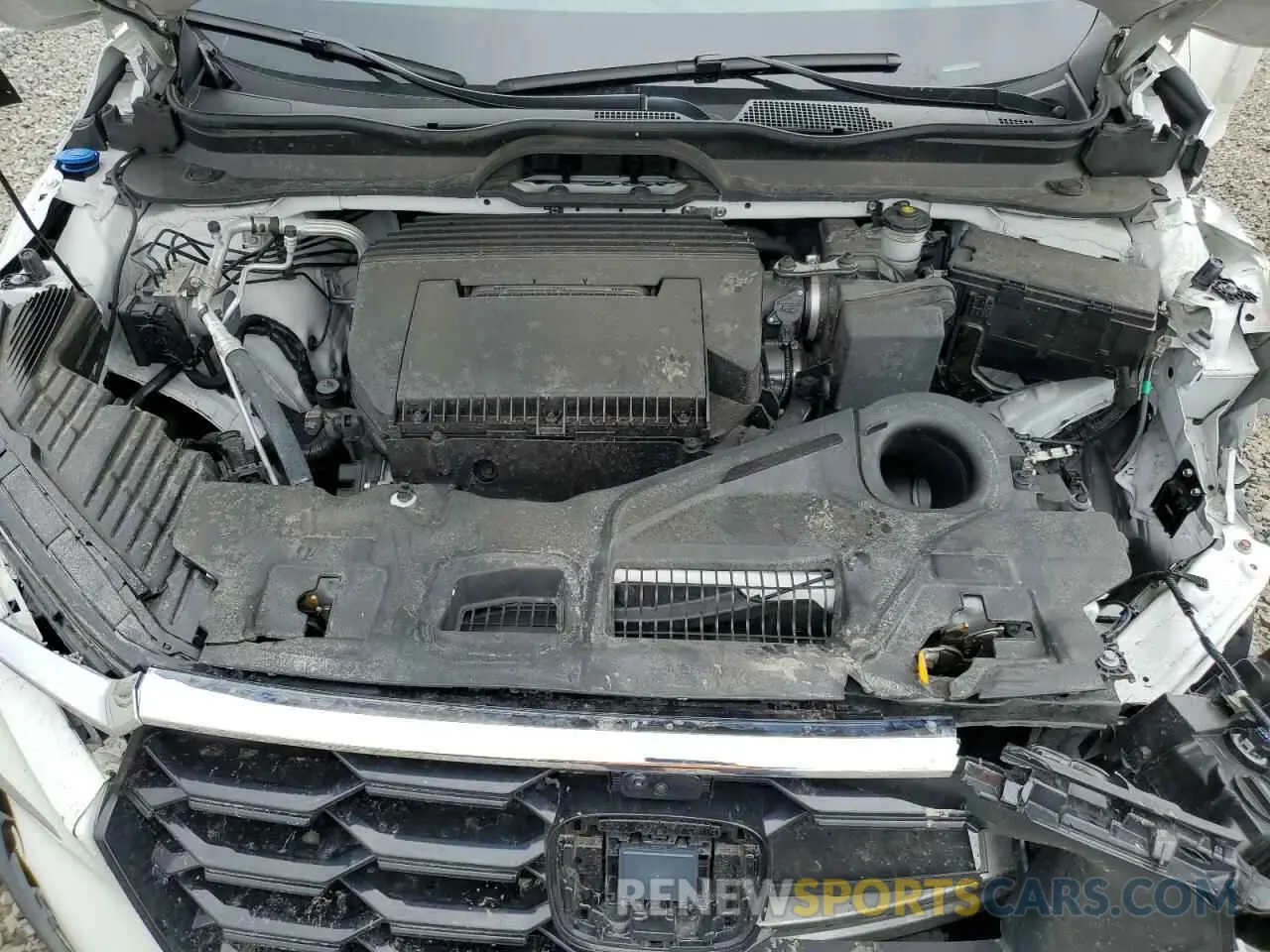 13 Фотография поврежденного автомобиля 5FNYG1H8XRB009639 HONDA PILOT 2024