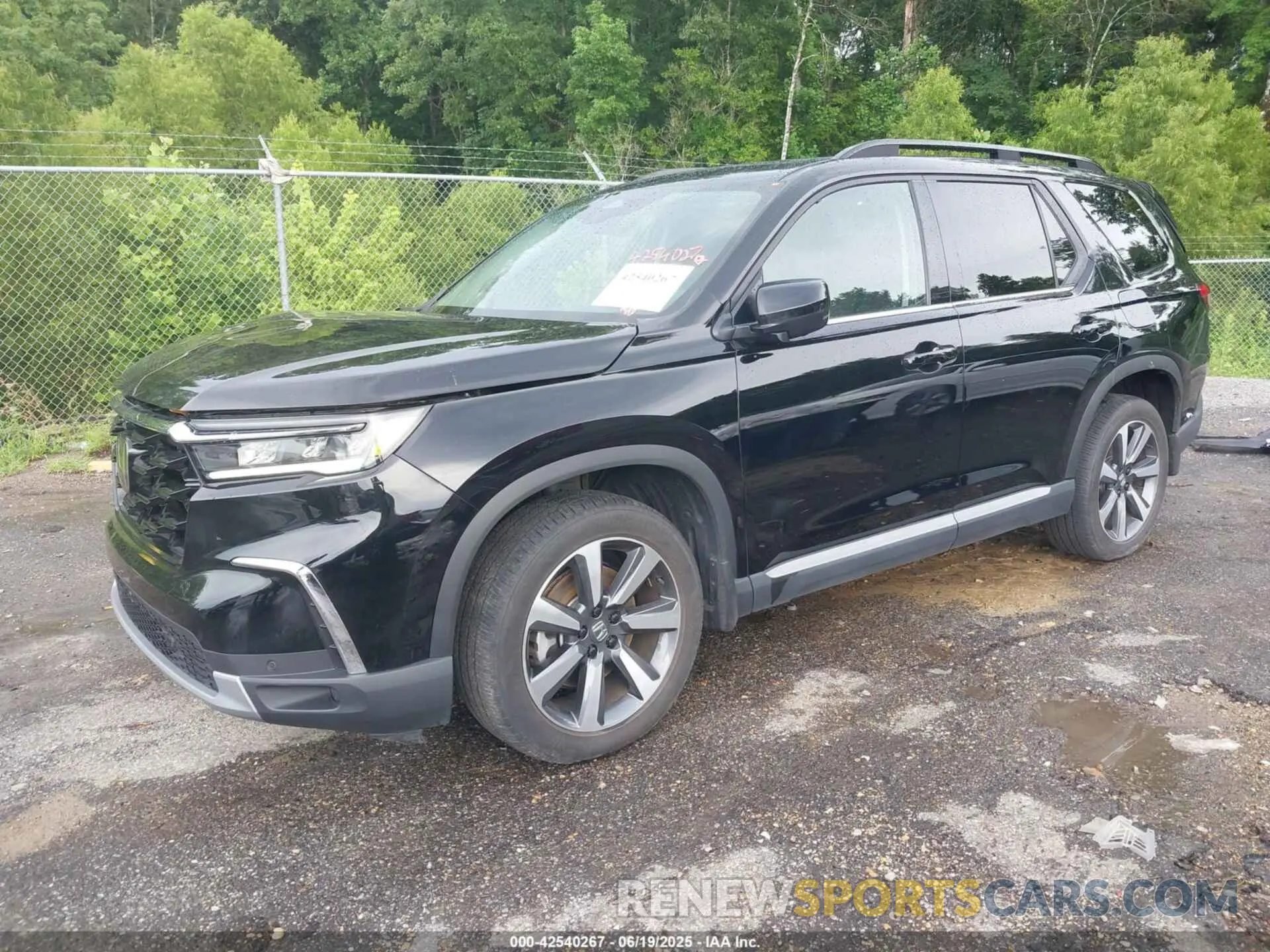 2 Фотография поврежденного автомобиля 5FNYG1H8XRB016901 HONDA PILOT 2024