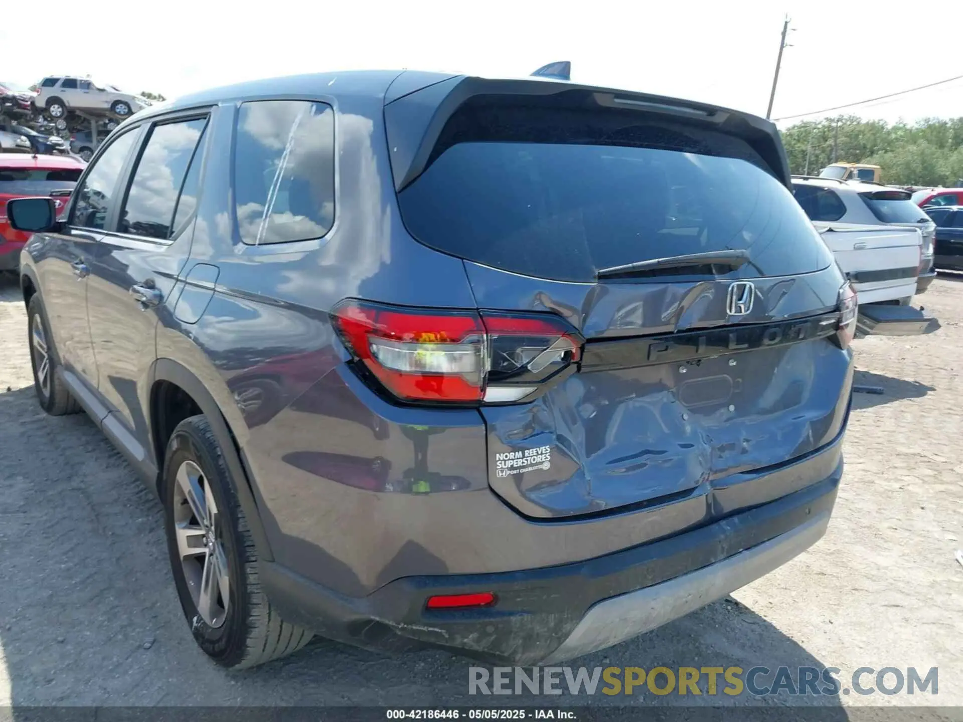 6 Фотография поврежденного автомобиля 5FNYG2H5XRB001827 HONDA PILOT 2024