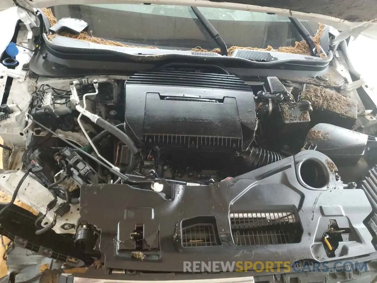 12 Photograph of a damaged car 5FNYG2H42SB018358 HONDA PILOT 2025