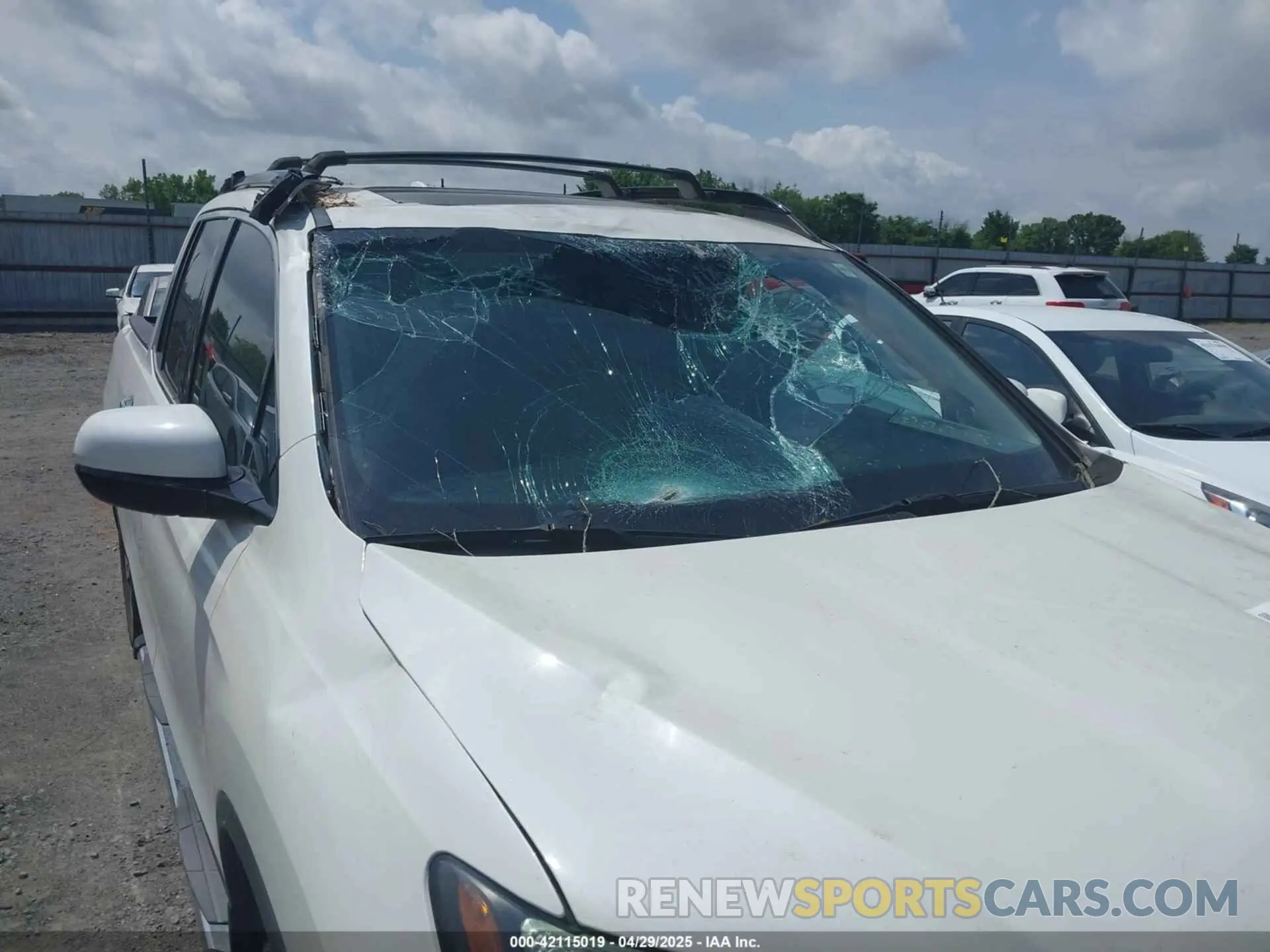6 Photograph of a damaged car 5FPYK3F77KB021667 HONDA RIDGELINE 2019