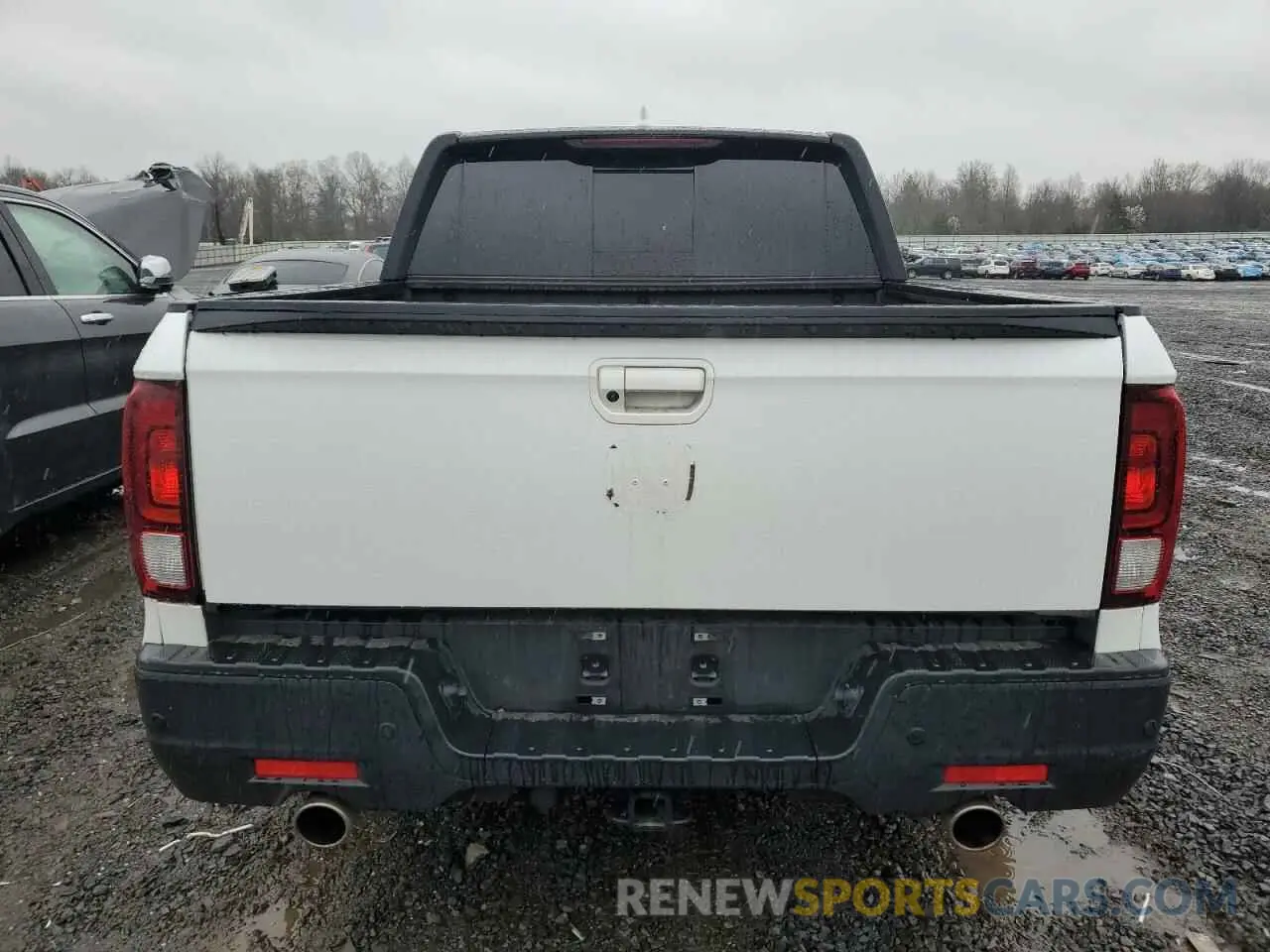 6 Photograph of a damaged car 5FPYK3F80NB014766 HONDA RIDGELINE 2022
