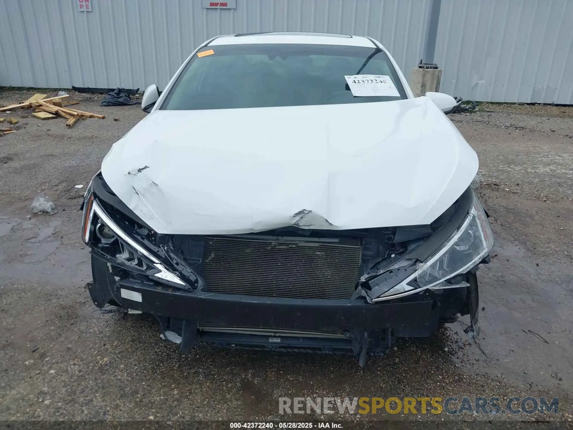 6 Photograph of a damaged car 5NPD84LF0KH435687 HYUNDAI ELANTRA 2019