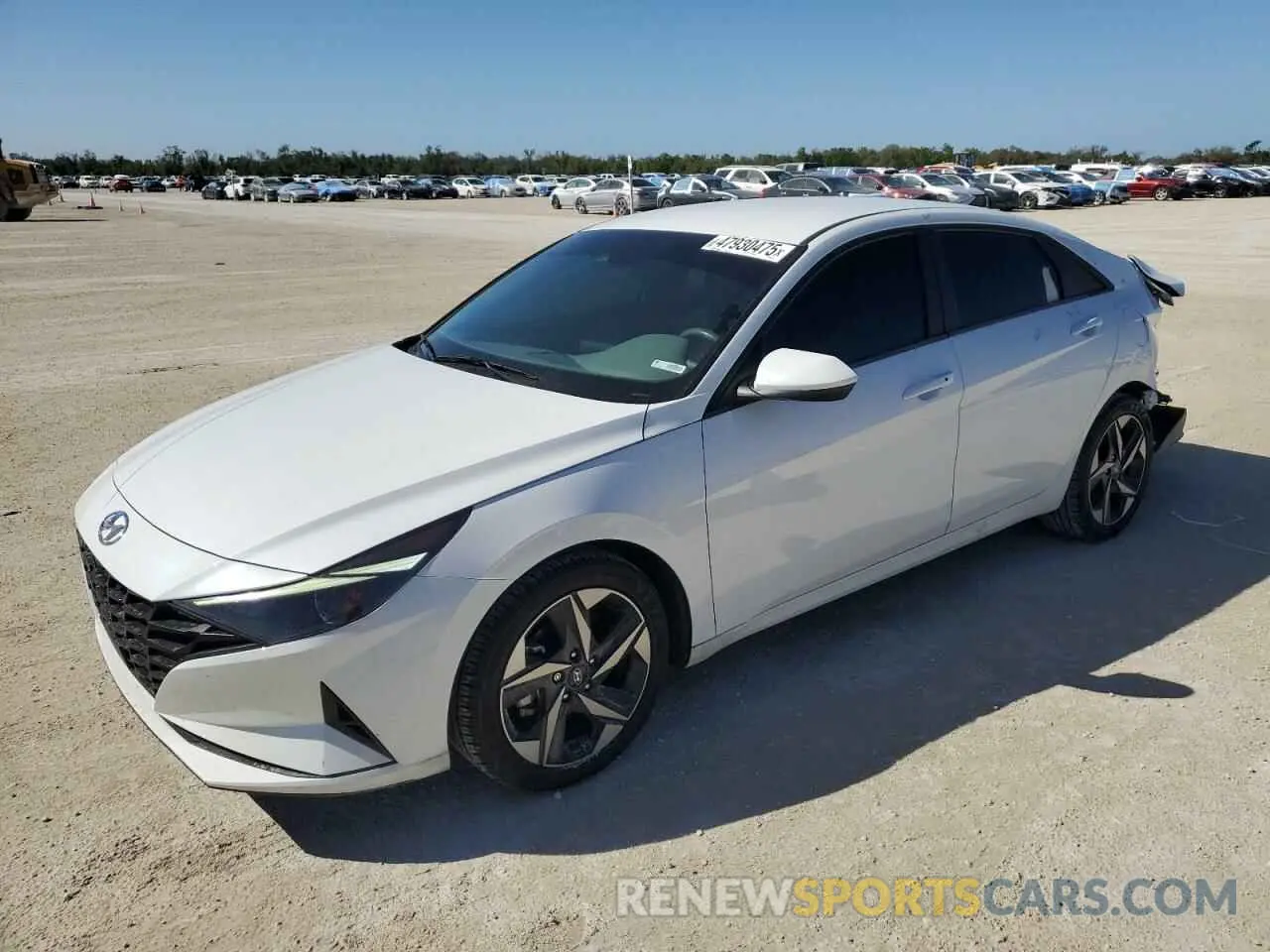 1 Фотография поврежденного автомобиля 5NPLS4AG3PH097783 HYUNDAI ELANTRA 2023