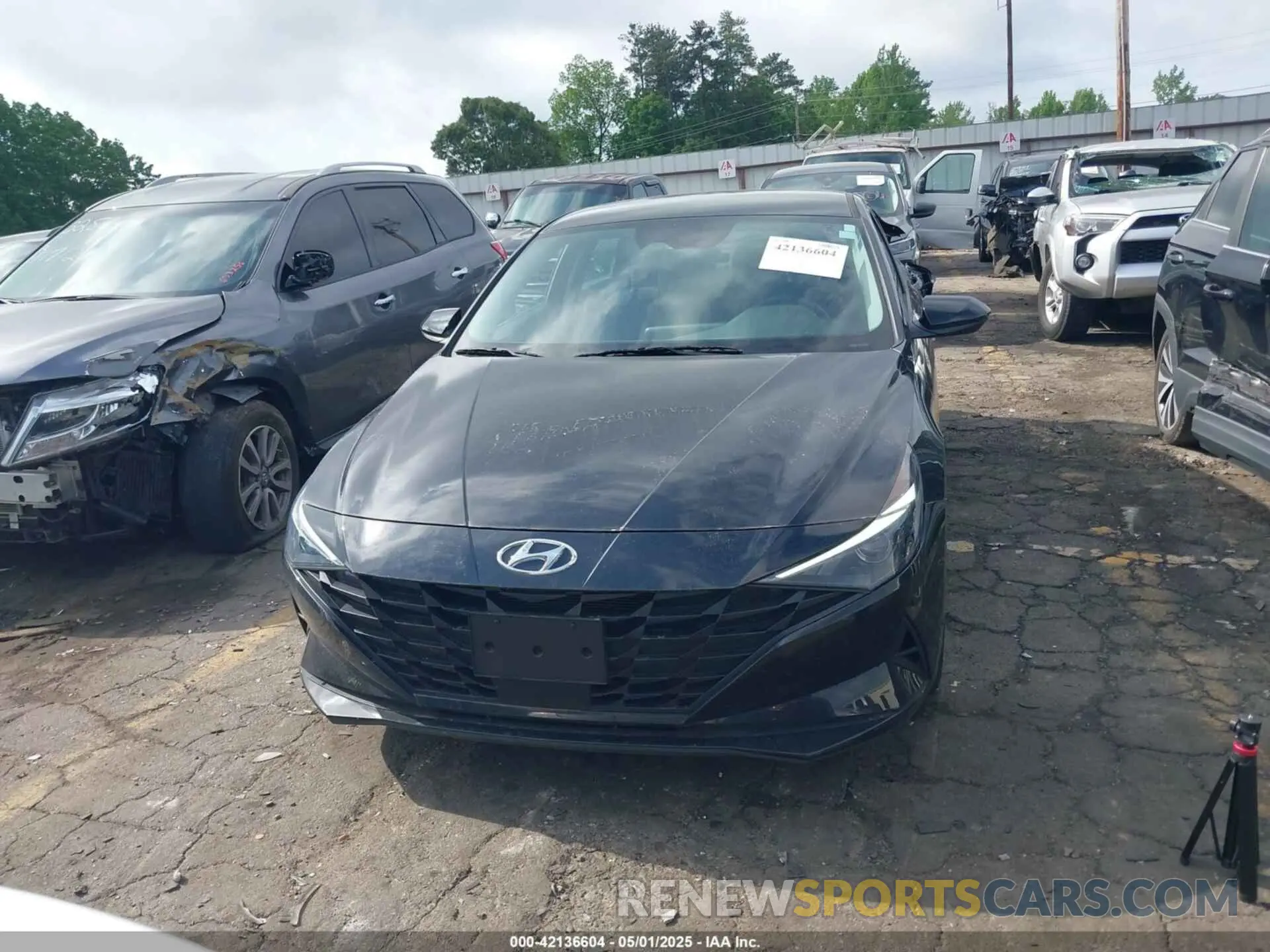12 Фотография поврежденного автомобиля 5NPLS4AG3PH098111 HYUNDAI ELANTRA 2023