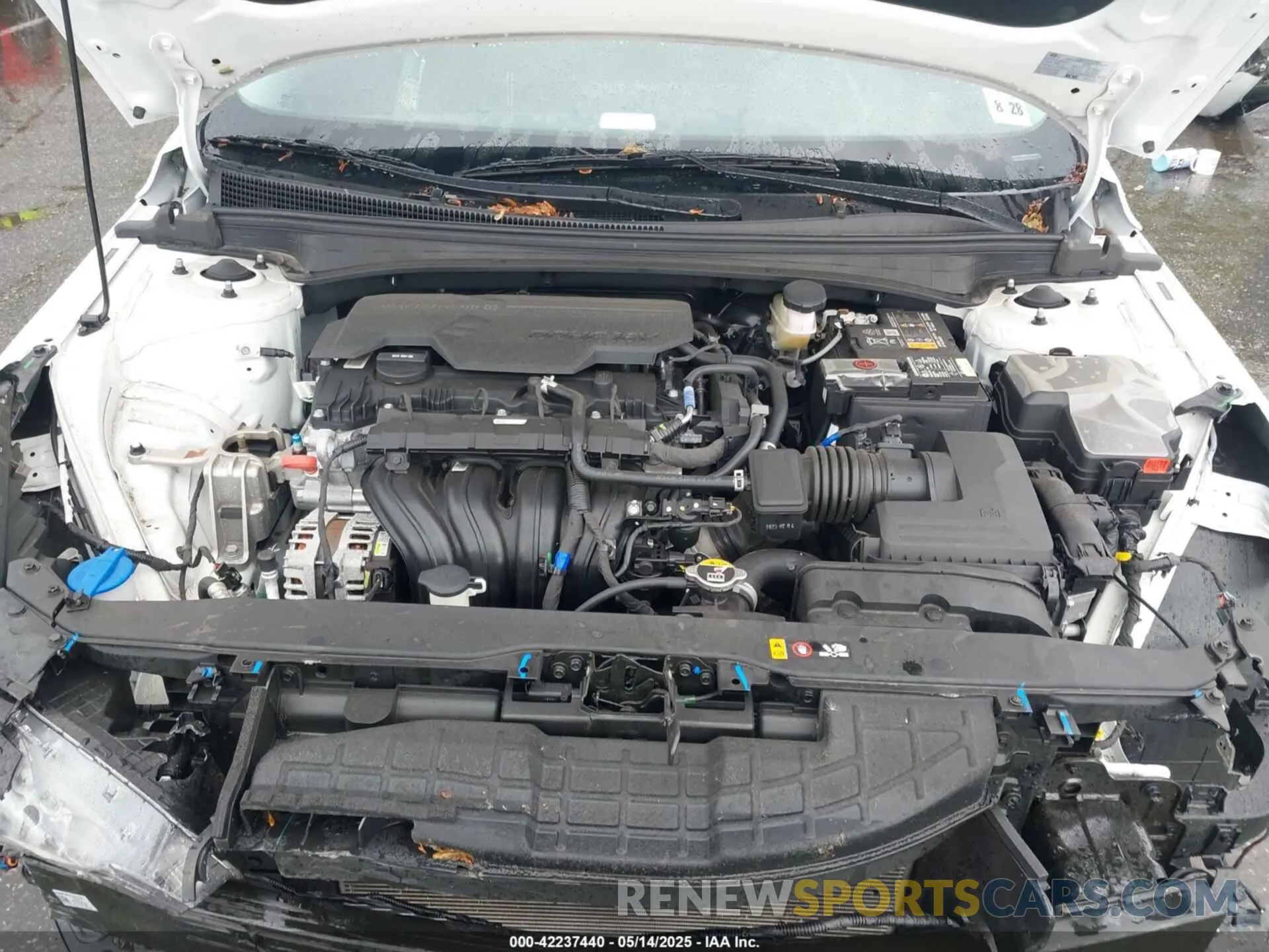 10 Photograph of a damaged car 5NPLS4AGXPH113946 HYUNDAI ELANTRA 2023