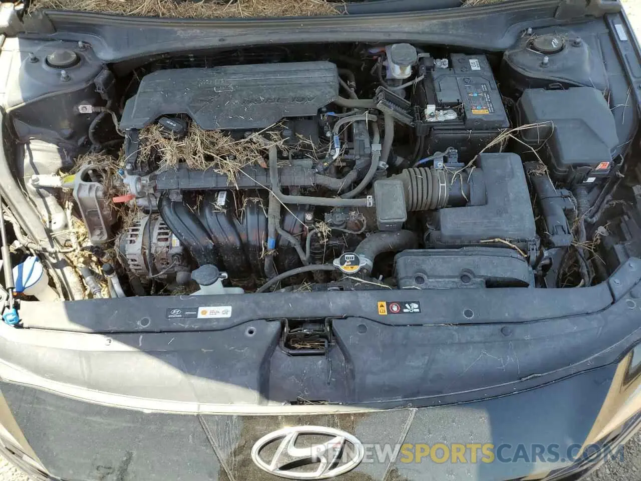 11 Photograph of a damaged car KMHLS4AG3PU596746 HYUNDAI ELANTRA 2023