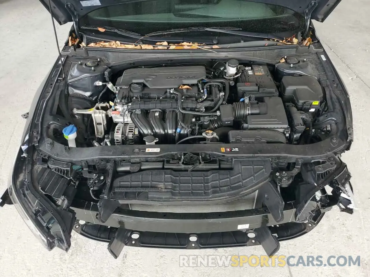11 Photograph of a damaged car KMHLL4DG0RU769781 HYUNDAI ELANTRA 2024
