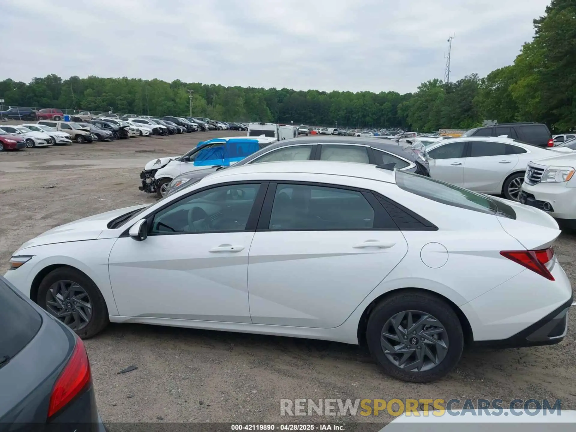 14 Фотография поврежденного автомобиля KMHLM4DG7RU666094 HYUNDAI ELANTRA 2024