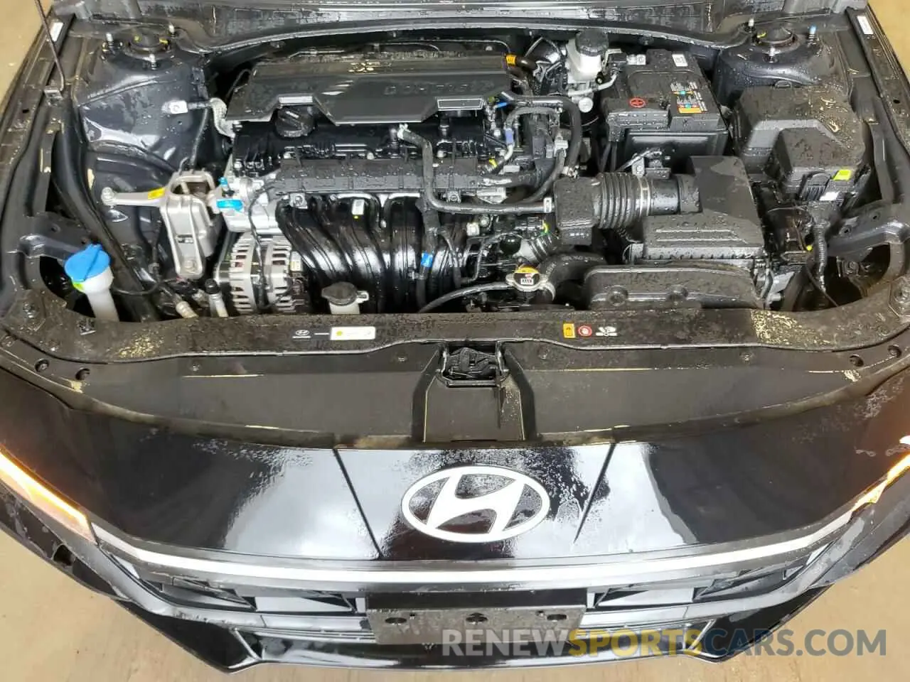 11 Photograph of a damaged car KMHLM4DG6SU917564 HYUNDAI ELANTRA 2025