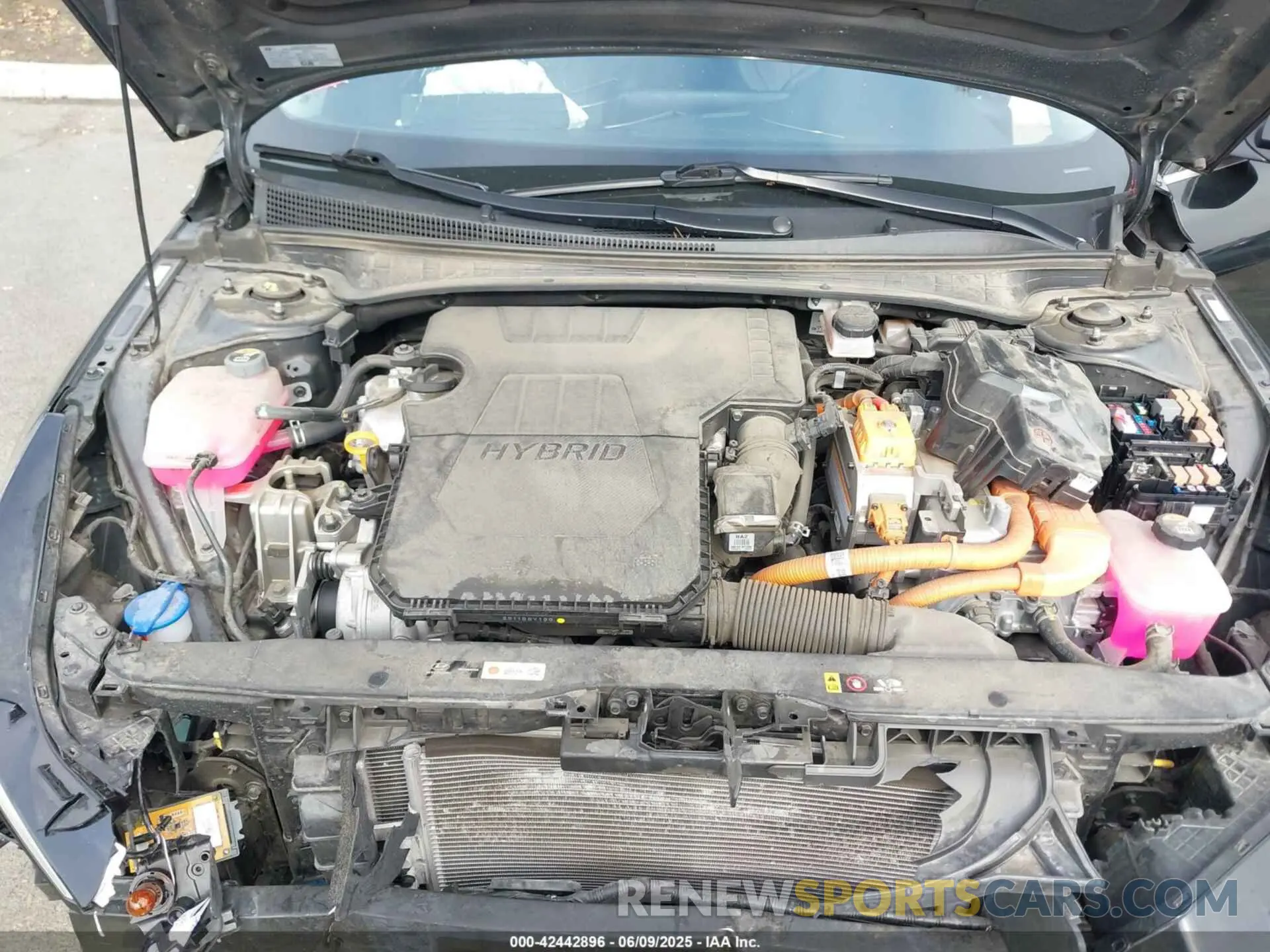 10 Photograph of a damaged car KMHLN4AJ0PU065863 HYUNDAI ELANTRA HYBRID 2023