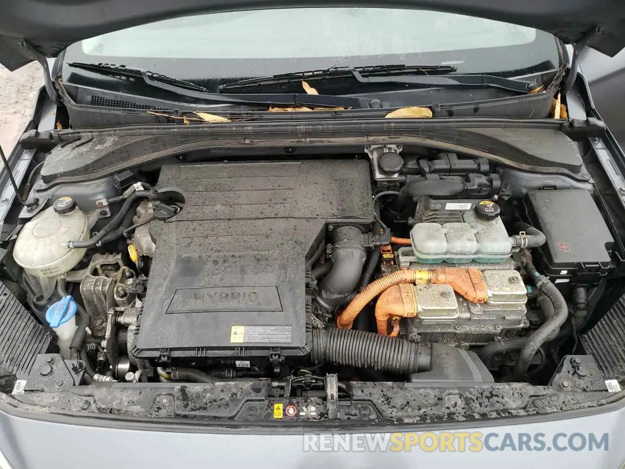 11 Фотография поврежденного автомобиля KMHC65LC9KU163591 HYUNDAI IONIQ 2019