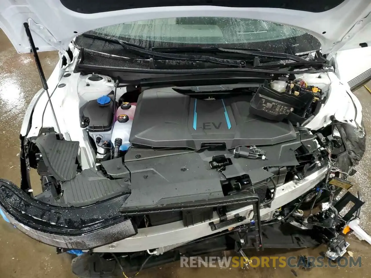 12 Photograph of a damaged car KM8KRDDF0RU309277 HYUNDAI IONIQ 2024