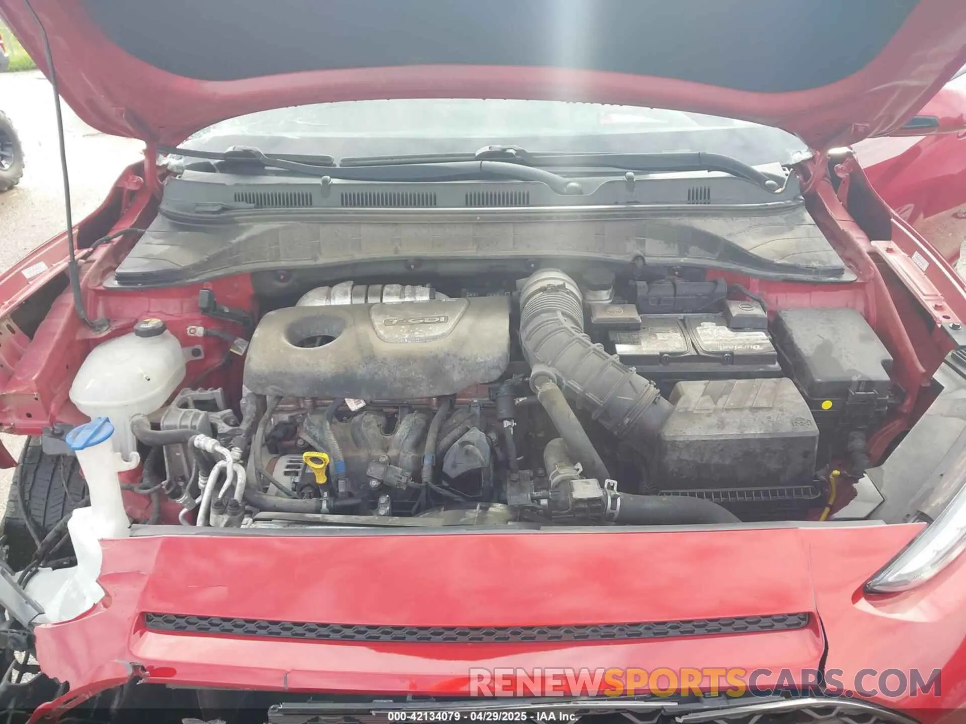 10 Photograph of a damaged car KM8K5CA54KU250659 HYUNDAI KONA 2019