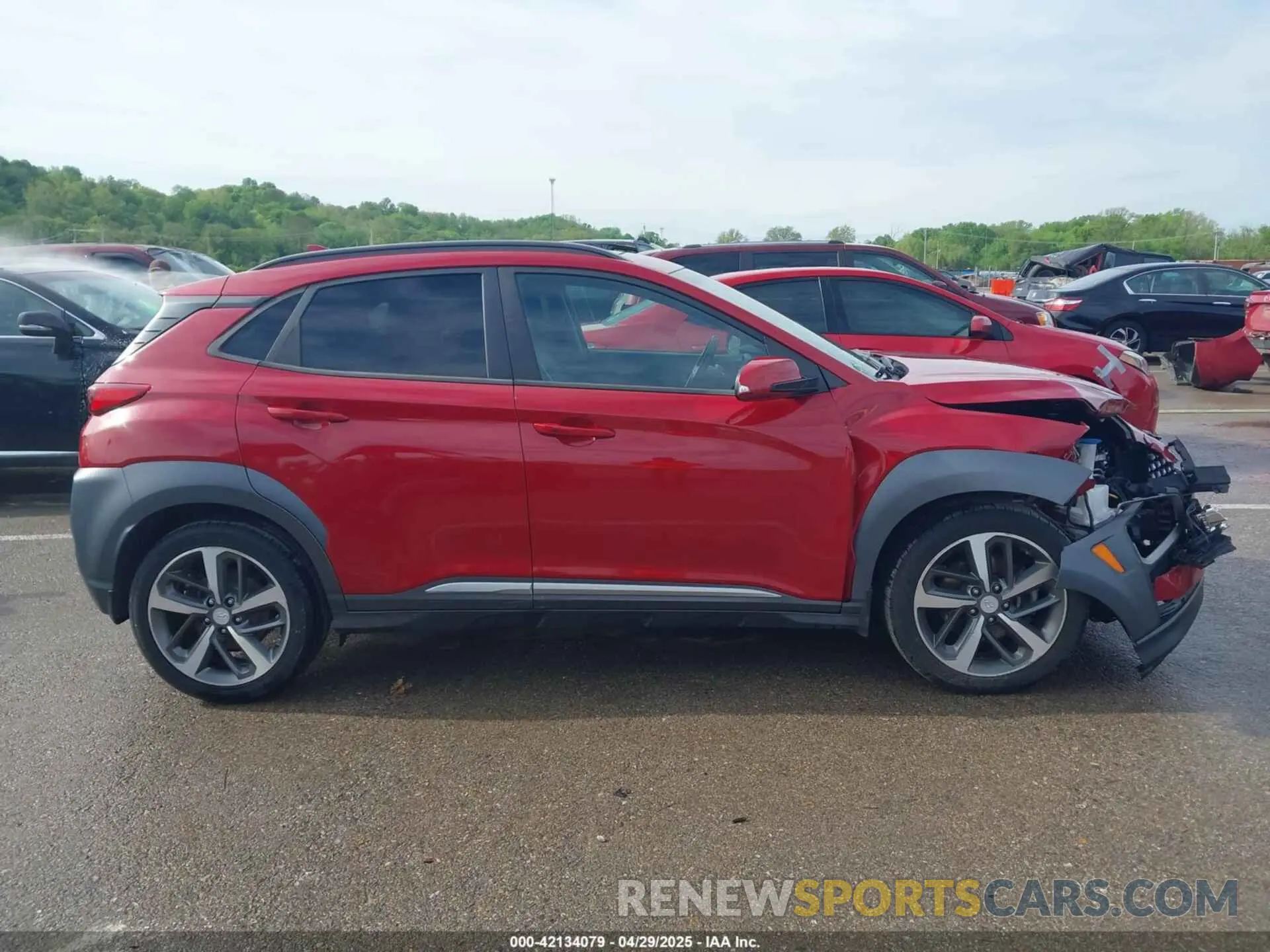 14 Photograph of a damaged car KM8K5CA54KU250659 HYUNDAI KONA 2019