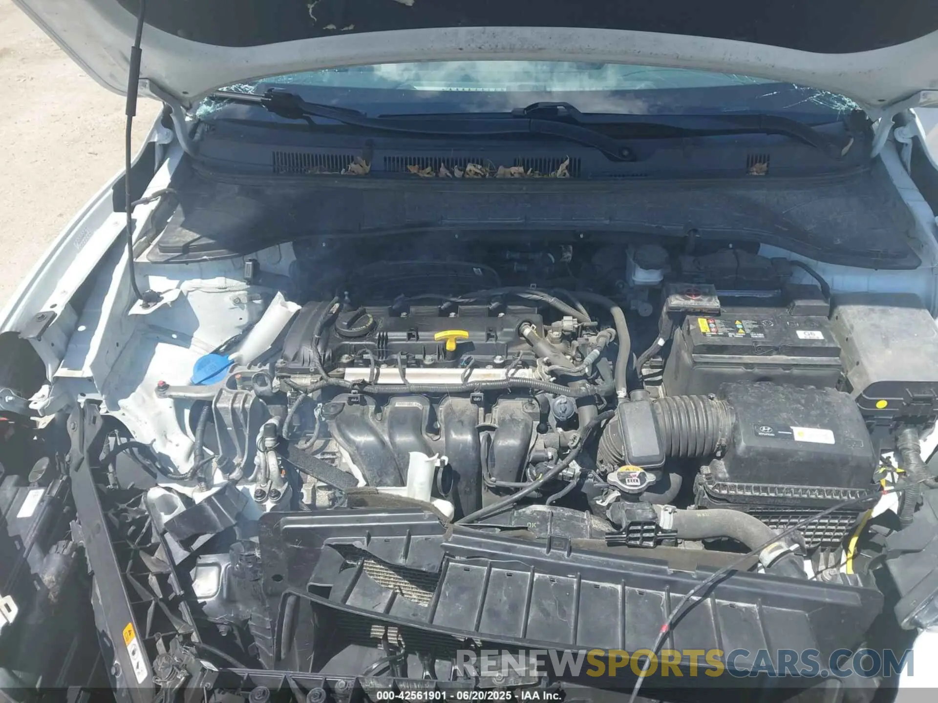 10 Photograph of a damaged car KM8K2CAA6MU602407 HYUNDAI KONA 2021
