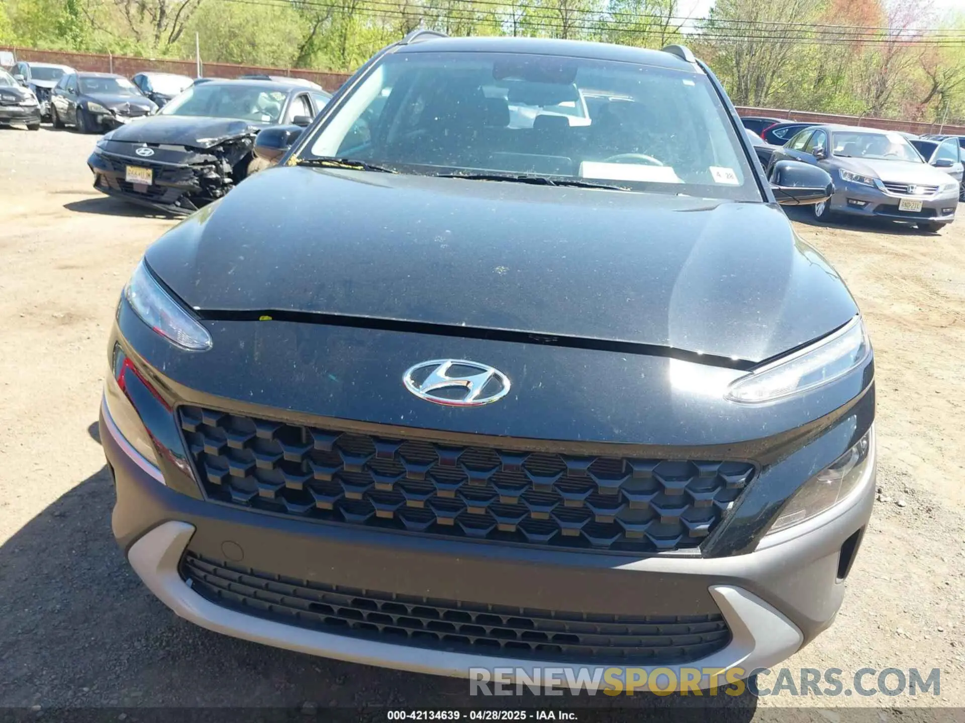 12 Photograph of a damaged car KM8K6CAB3PU012120 HYUNDAI KONA 2023