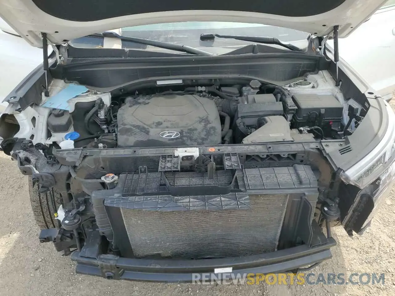 12 Фотография поврежденного автомобиля KM8R1DHEXLU065619 HYUNDAI PALISADE 2020