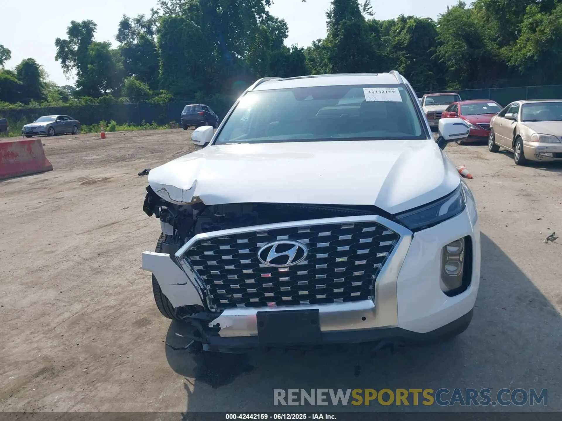 12 Photograph of a damaged car KM8R4DHE6LU130506 HYUNDAI PALISADE 2020