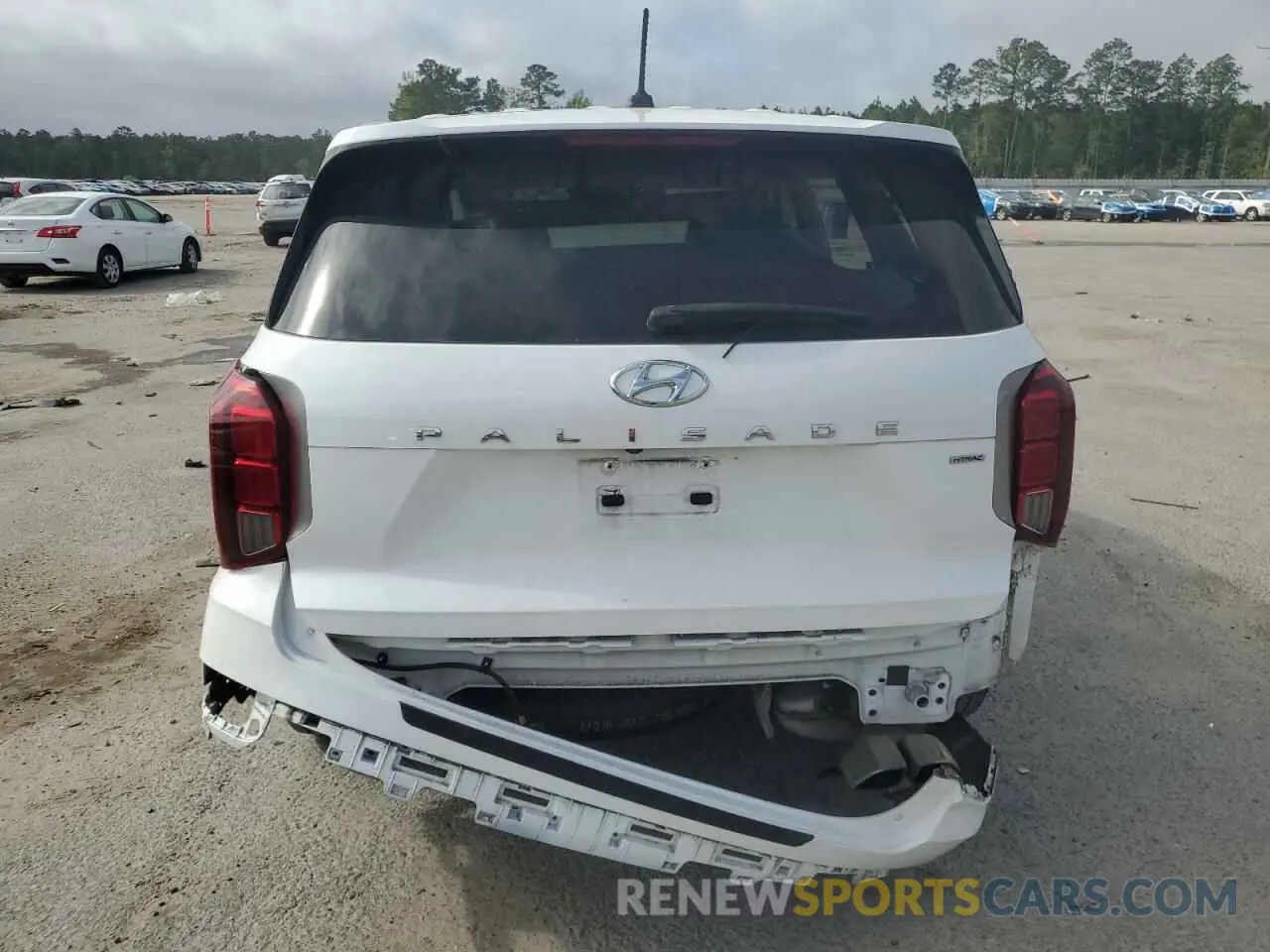 6 Photograph of a damaged car KM8R3DHE5MU241603 HYUNDAI PALISADE 2021