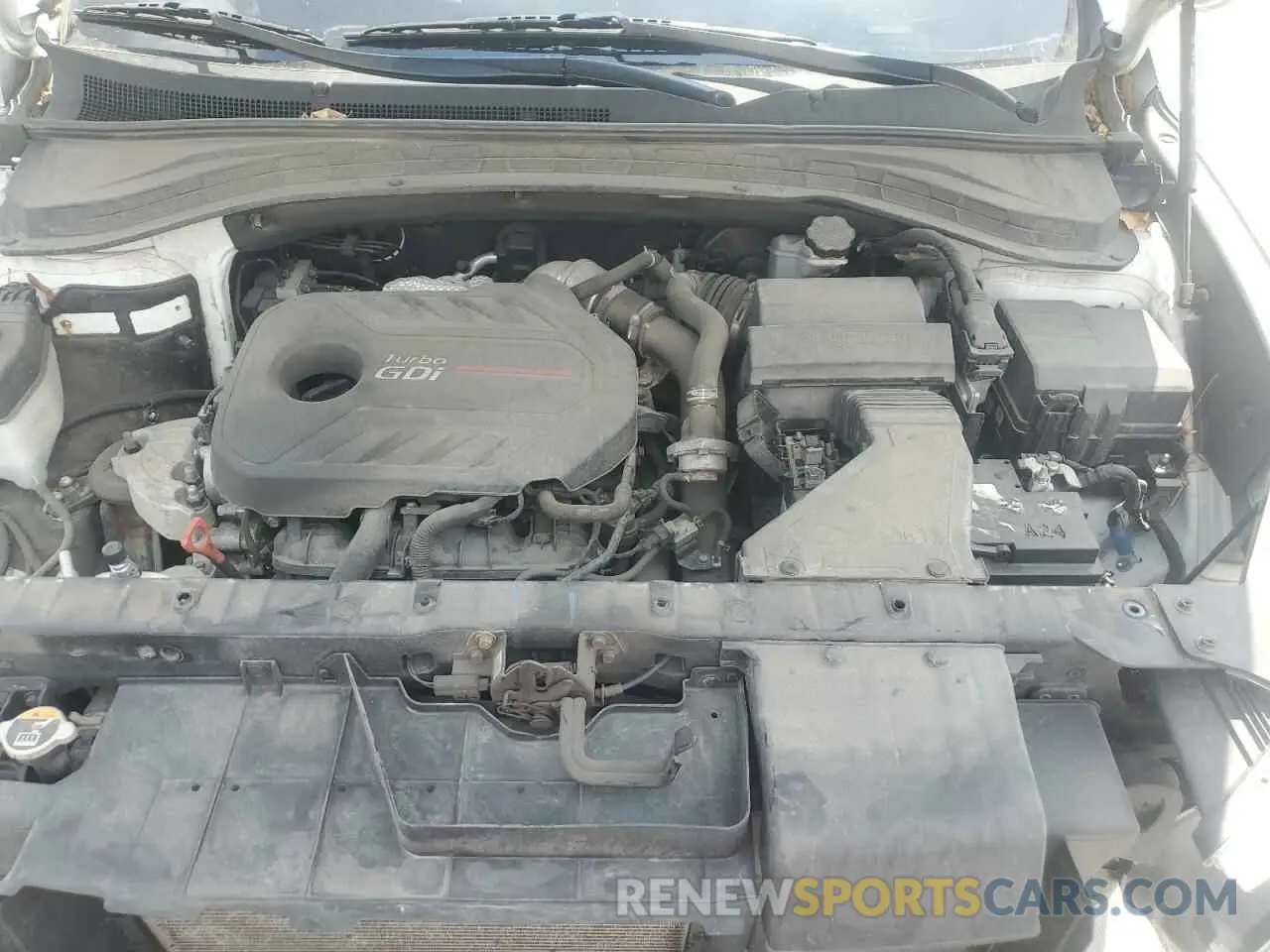 12 Photograph of a damaged car 5NMS5CAA6KH031484 HYUNDAI SANTA FE 2019