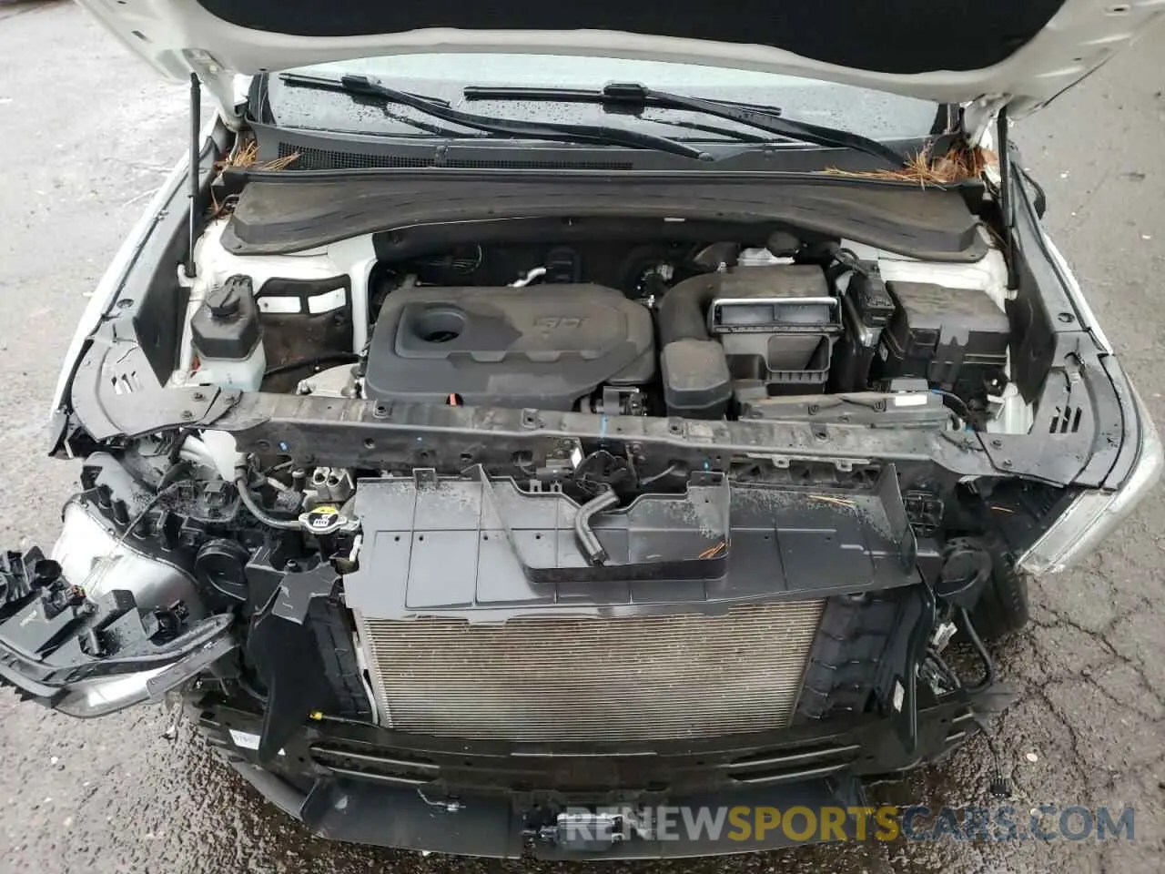 13 Photograph of a damaged car 5NMS3CAD4LH148742 HYUNDAI SANTA FE 2020