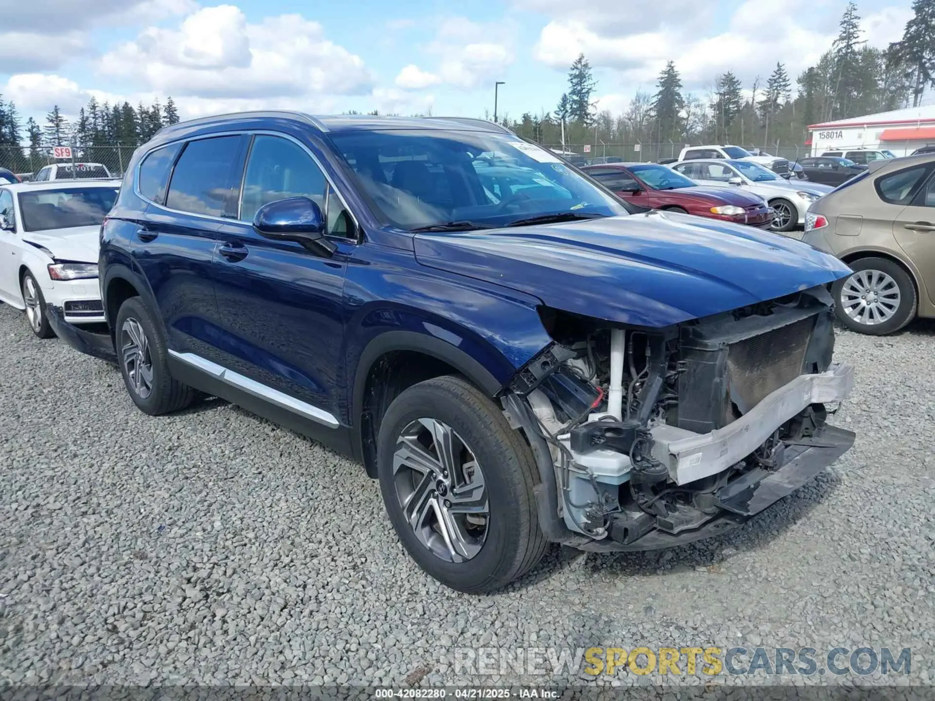 1 Фотография поврежденного автомобиля 5NMS2DAJXNH384426 HYUNDAI SANTA FE 2022