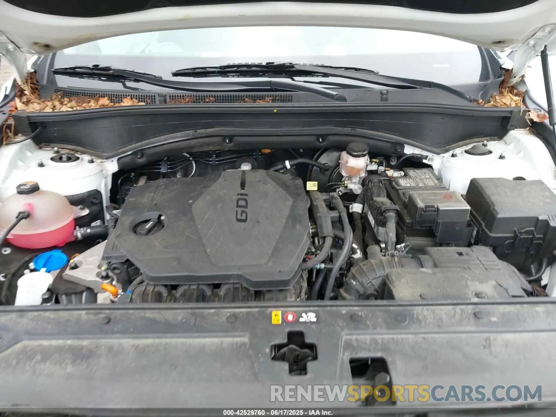 10 Фотография поврежденного автомобиля 5NMS1DAJ3PH488231 HYUNDAI SANTA FE 2023