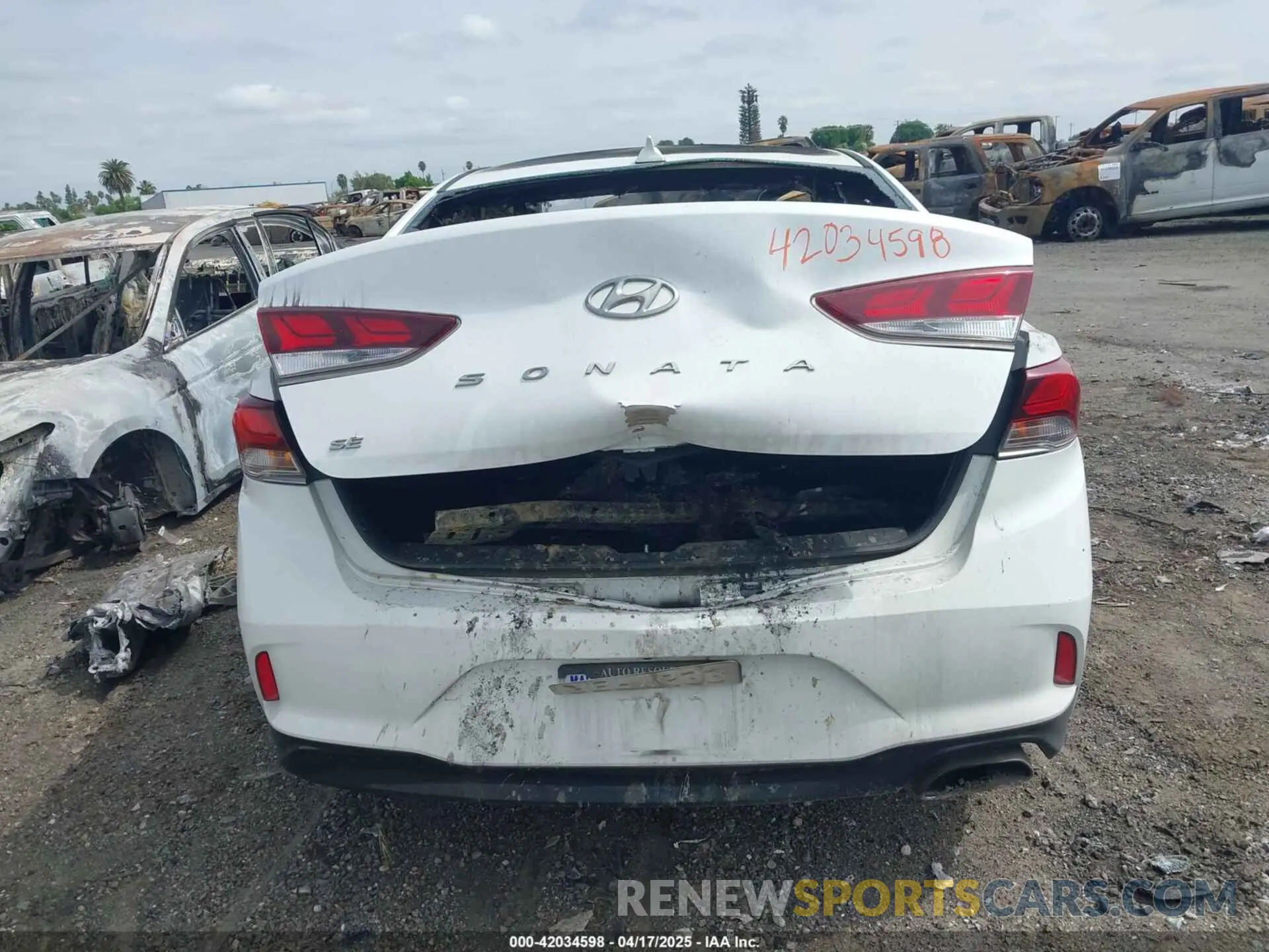 14 Photograph of a damaged car 5NPE24AF1KH751737 HYUNDAI SONATA 2019