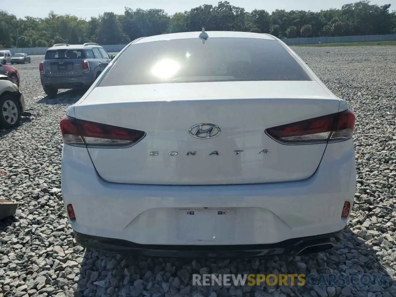 6 Photograph of a damaged car 5NPE24AF2KH751424 HYUNDAI SONATA 2019