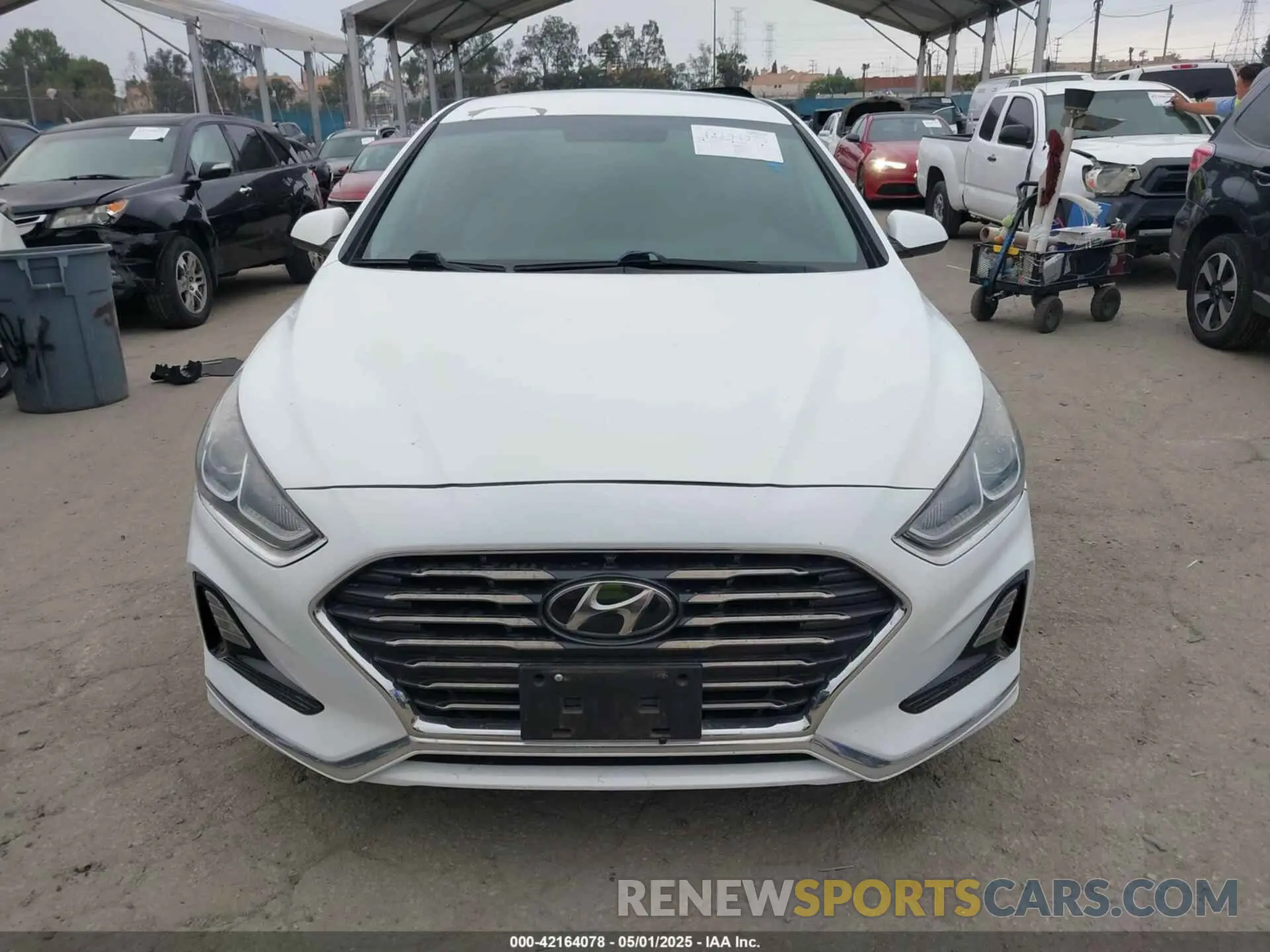 12 Фотография поврежденного автомобиля 5NPE24AF2KH753870 HYUNDAI SONATA 2019